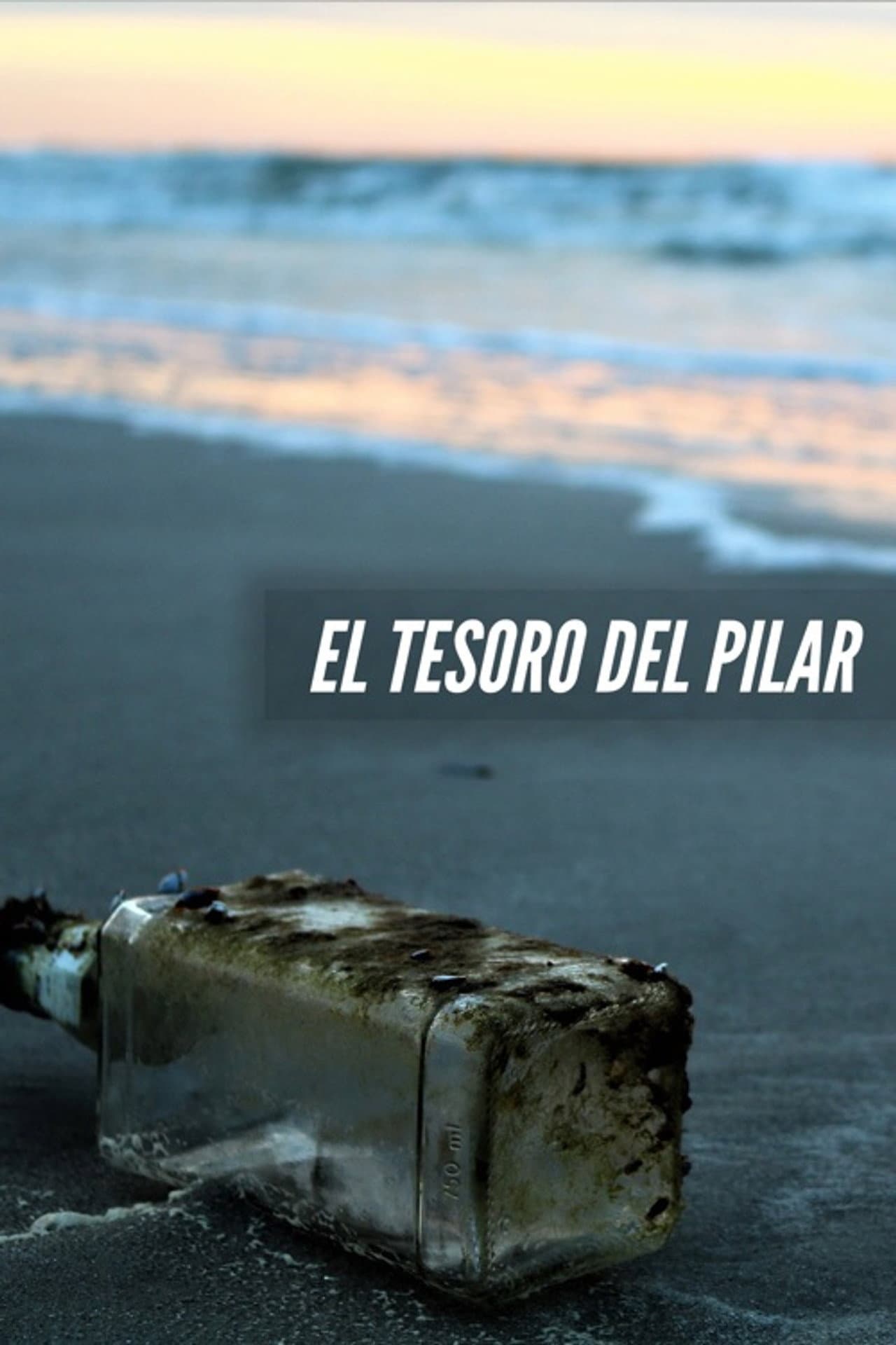 El tesoro del Pilar preview 1