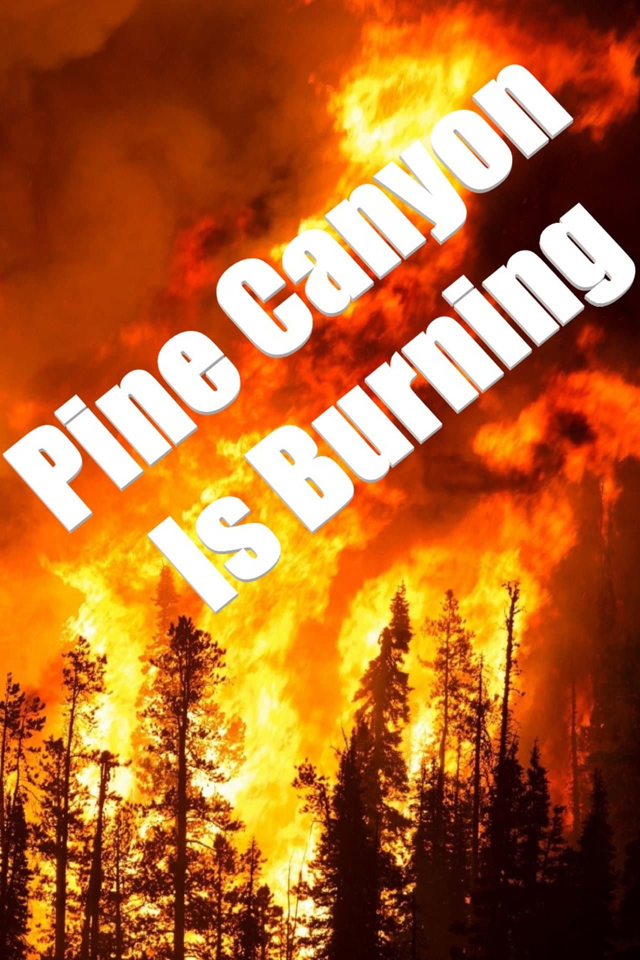Pine Canyon Is Burning preview 1