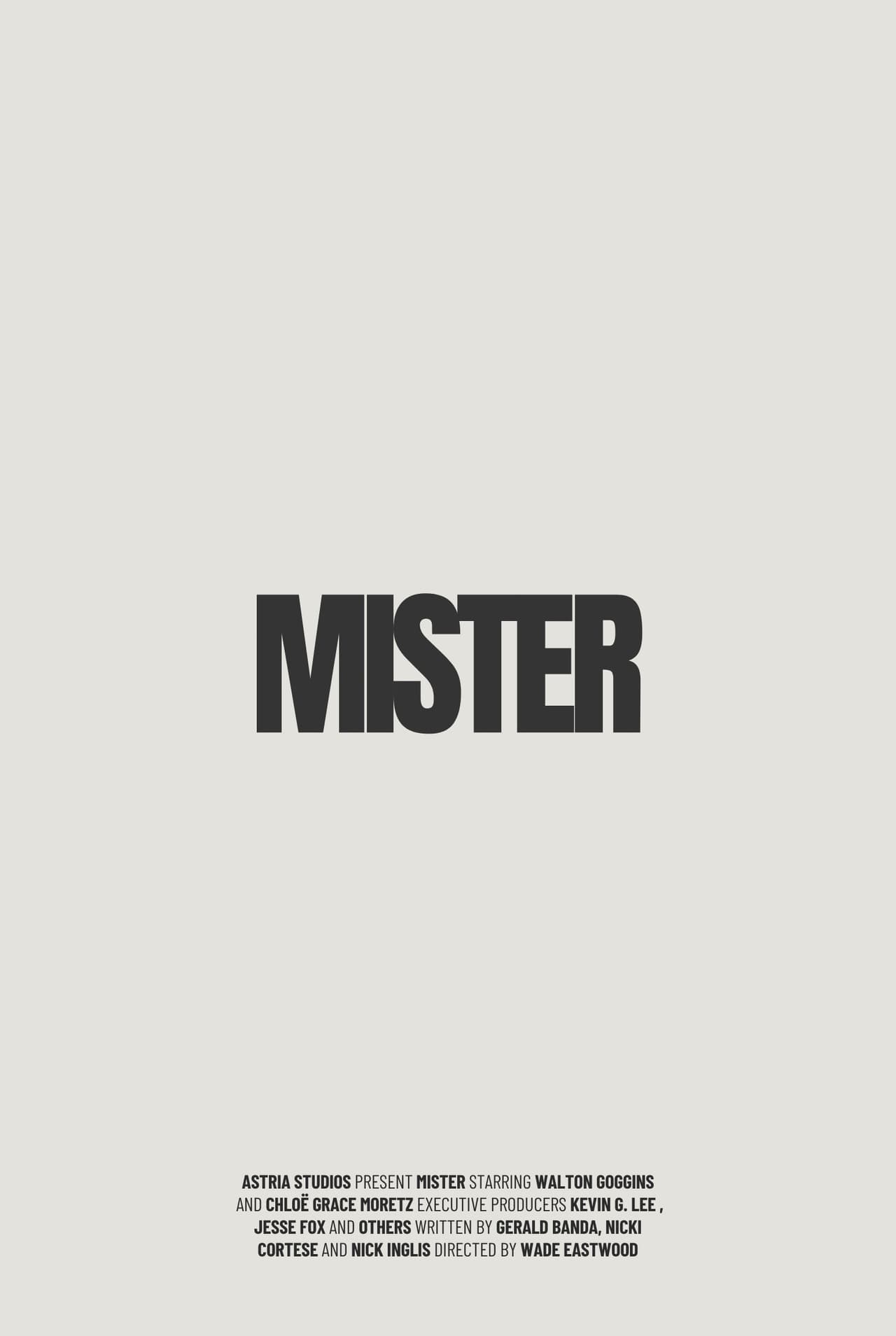 Mister preview 1