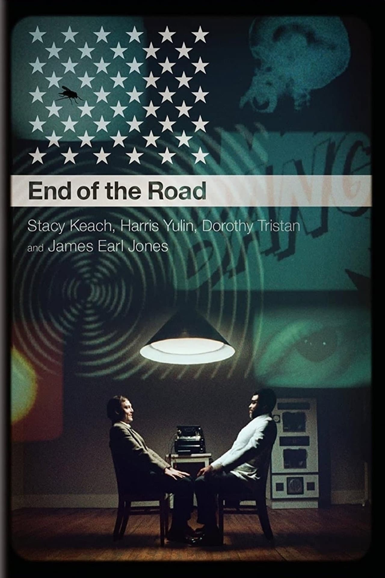 An Amazing Time: A Conversation About End of the Road preview 2