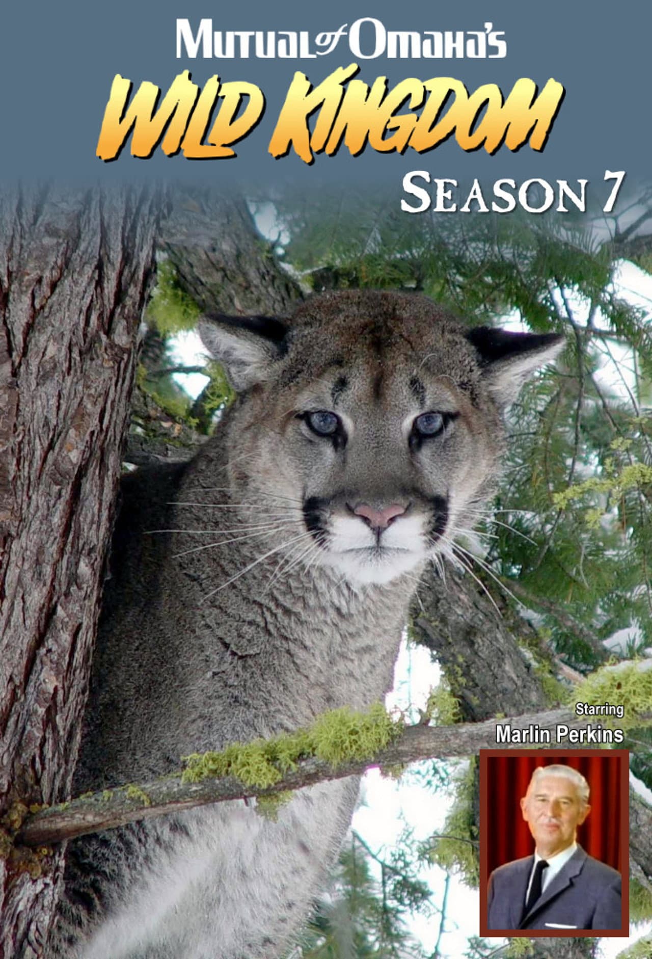Season 7