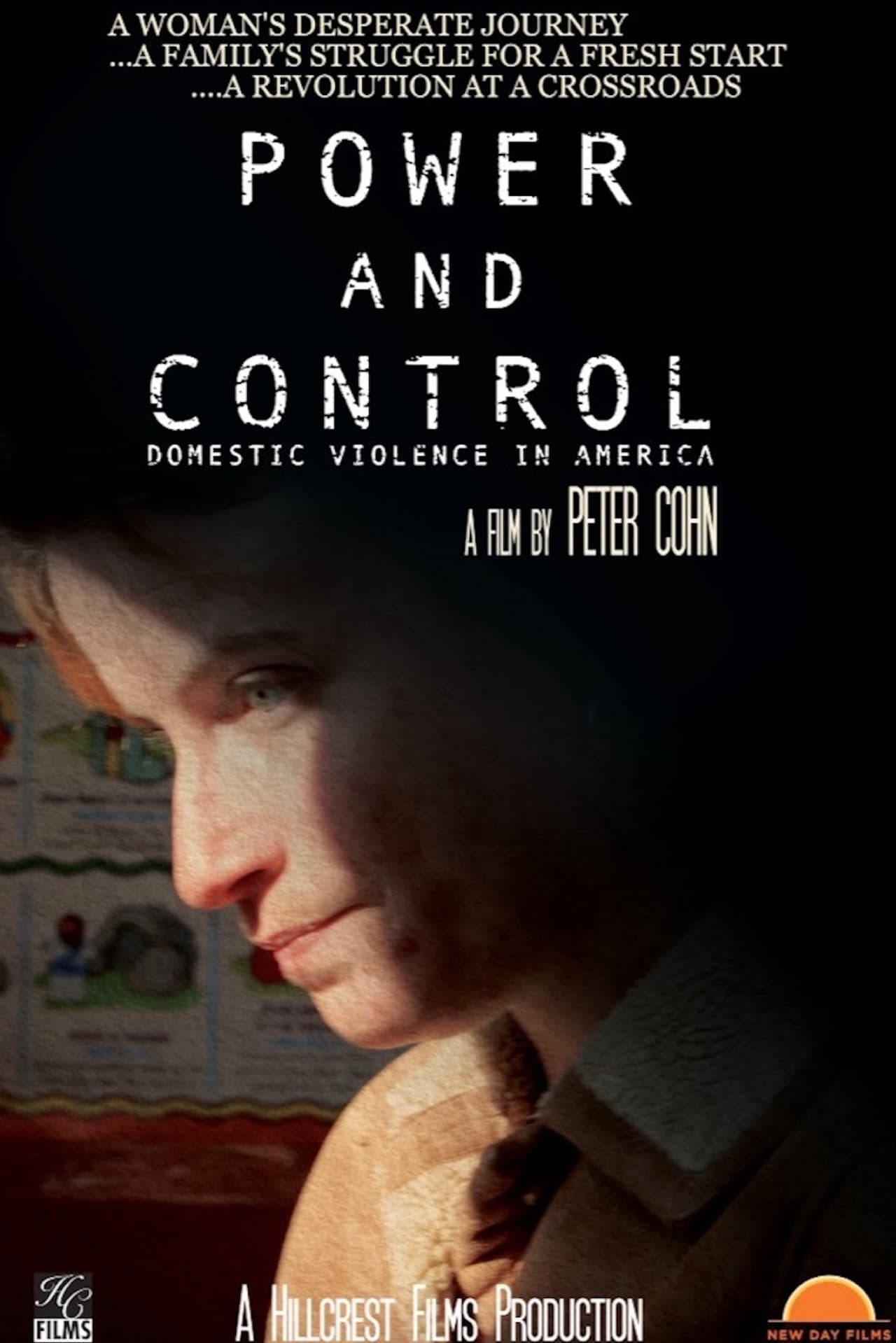 Power and Control: Domestic Violence in America preview 1