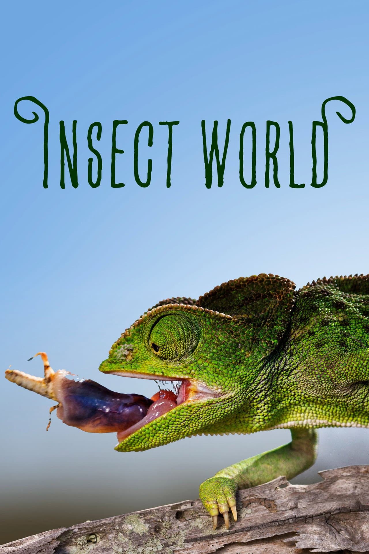 Insect World preview 2