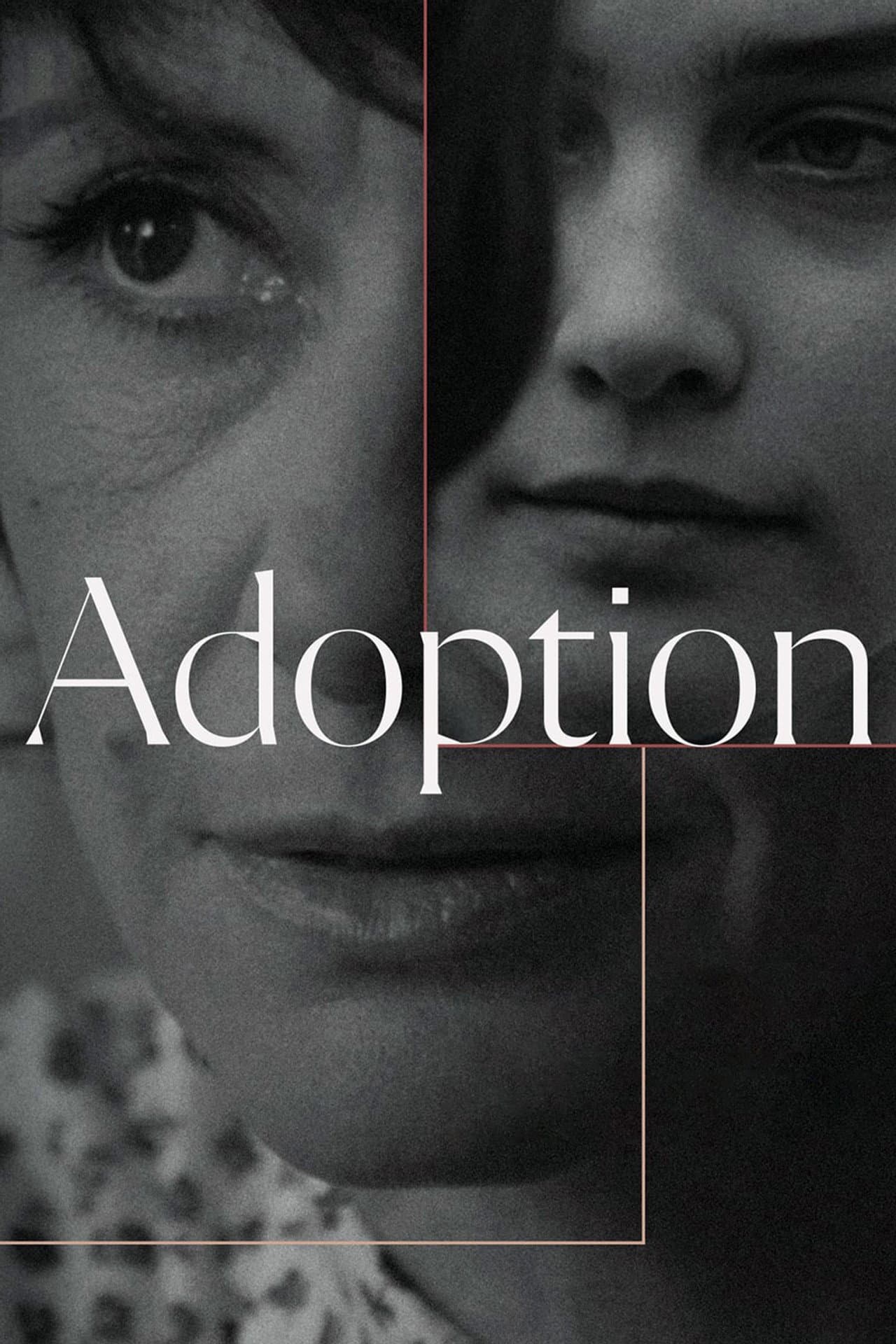 Adoption preview 2