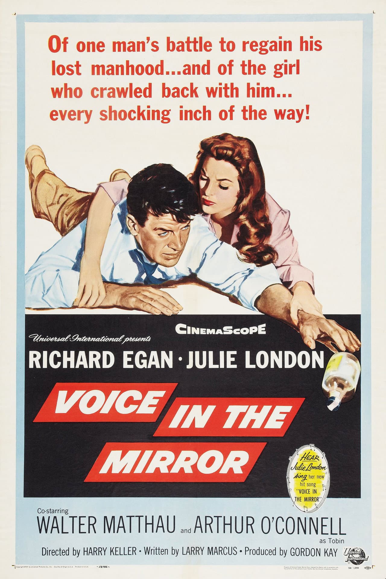 Voice in the Mirror preview 2