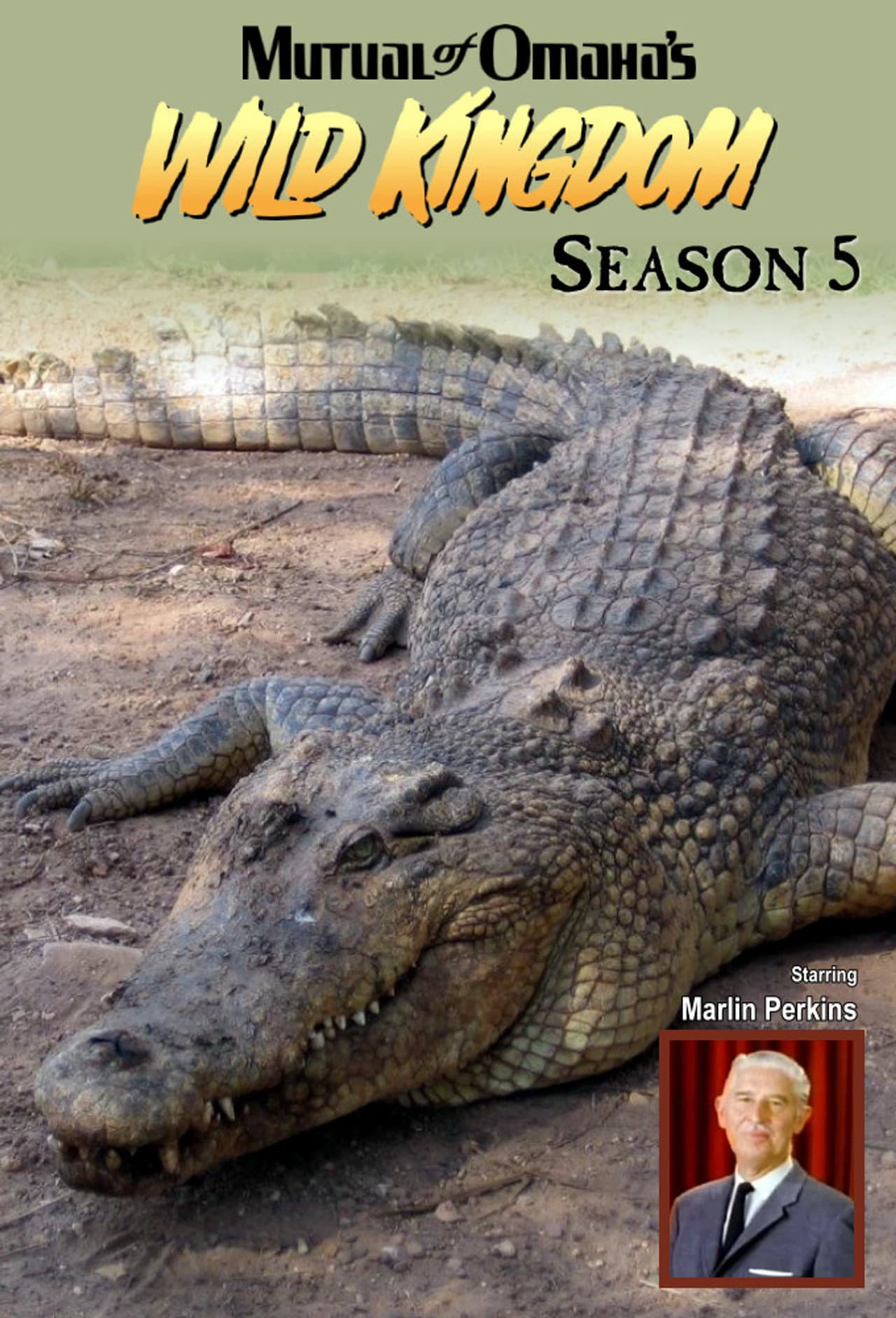 Season 5
