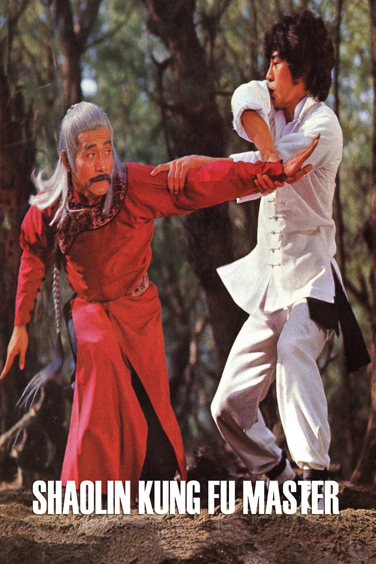 Shaolin Kung Fu Master preview 2