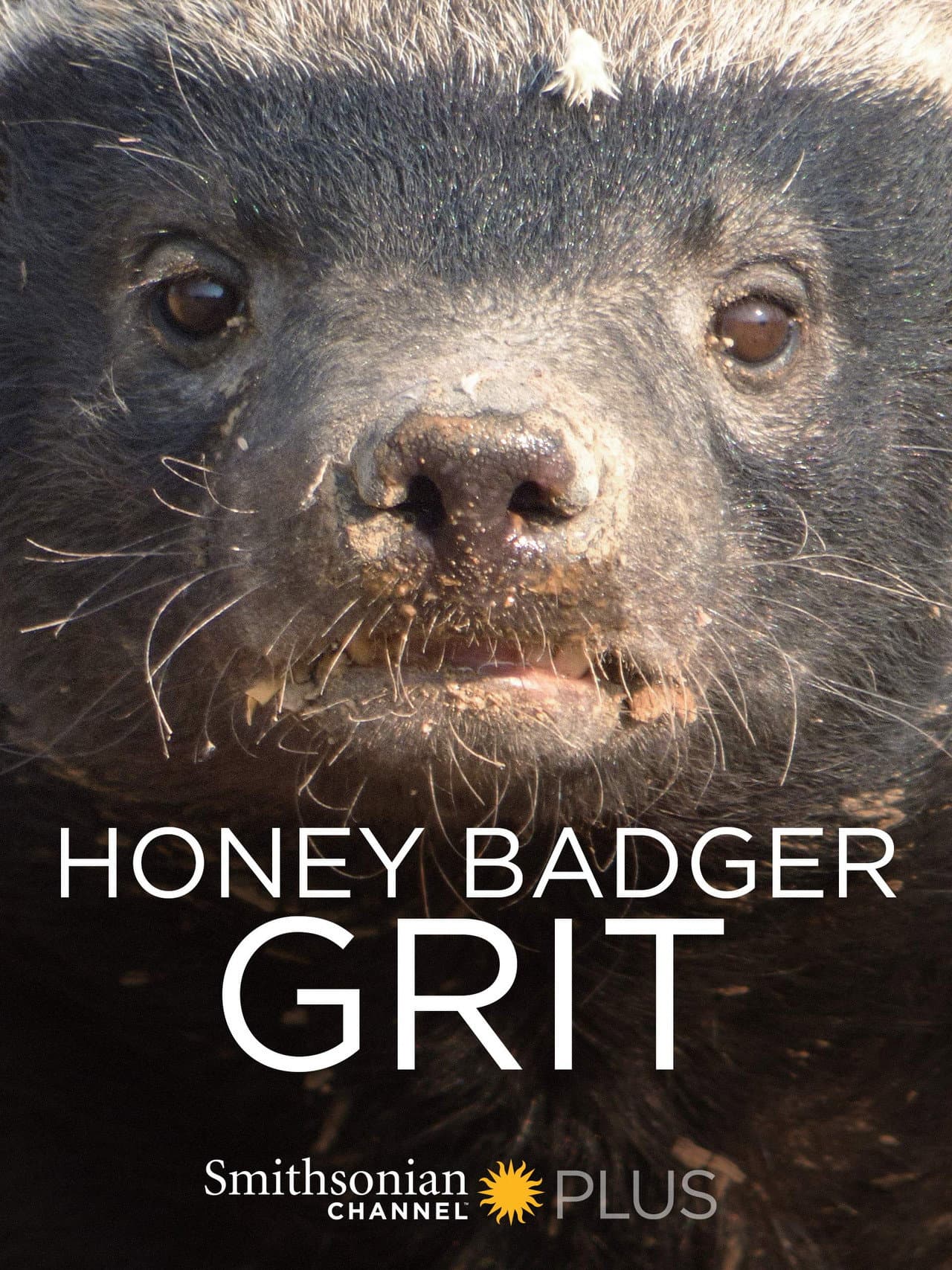 Honey Badger: Grit preview 2