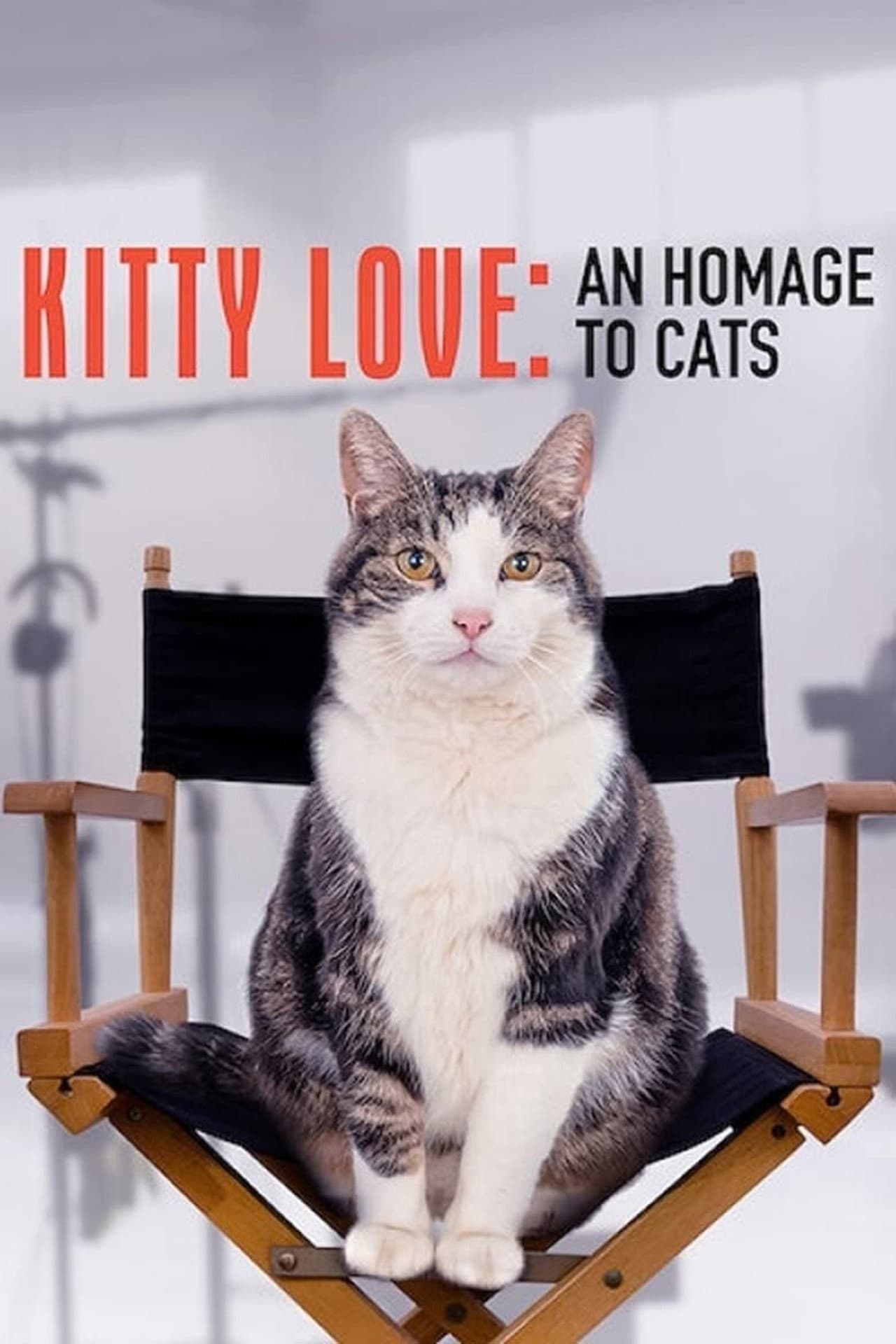 Kitty Love: An Homage to Cats preview 2