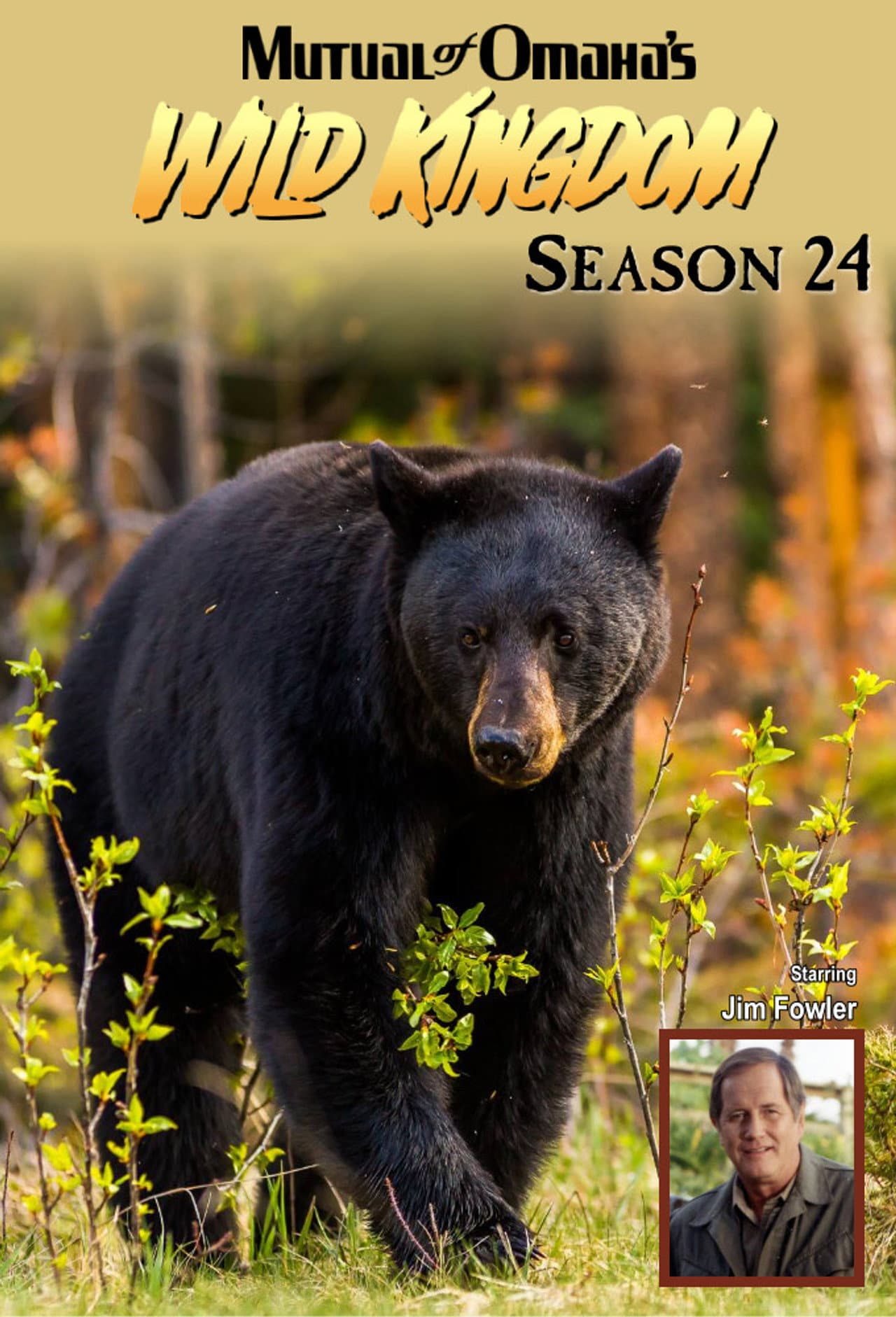 Season 24