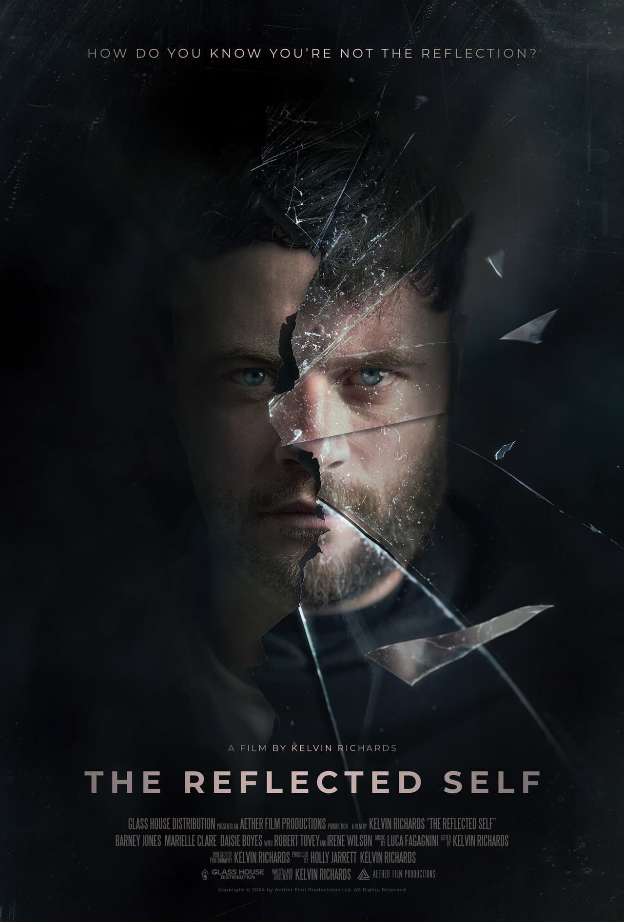 The Reflected Self preview 2