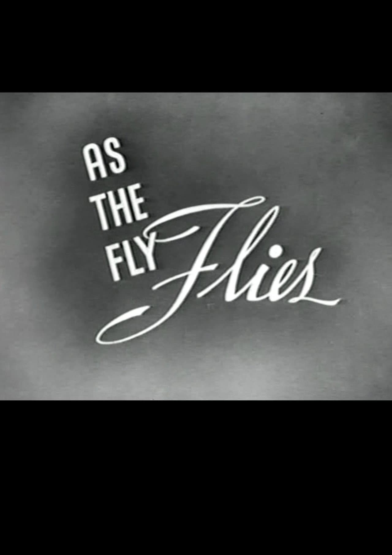 As the Fly Flies preview 1