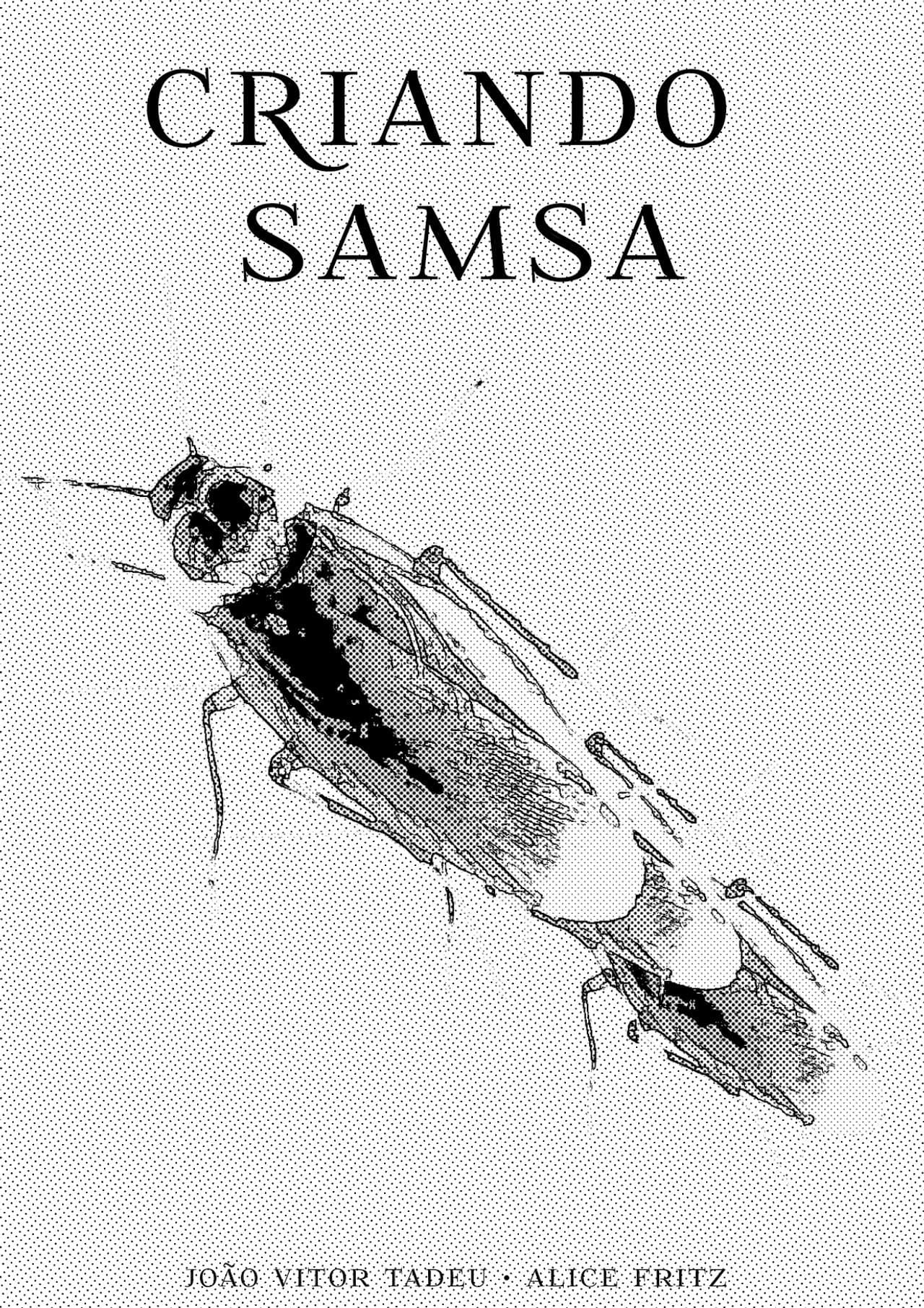 Making Samsa preview 1