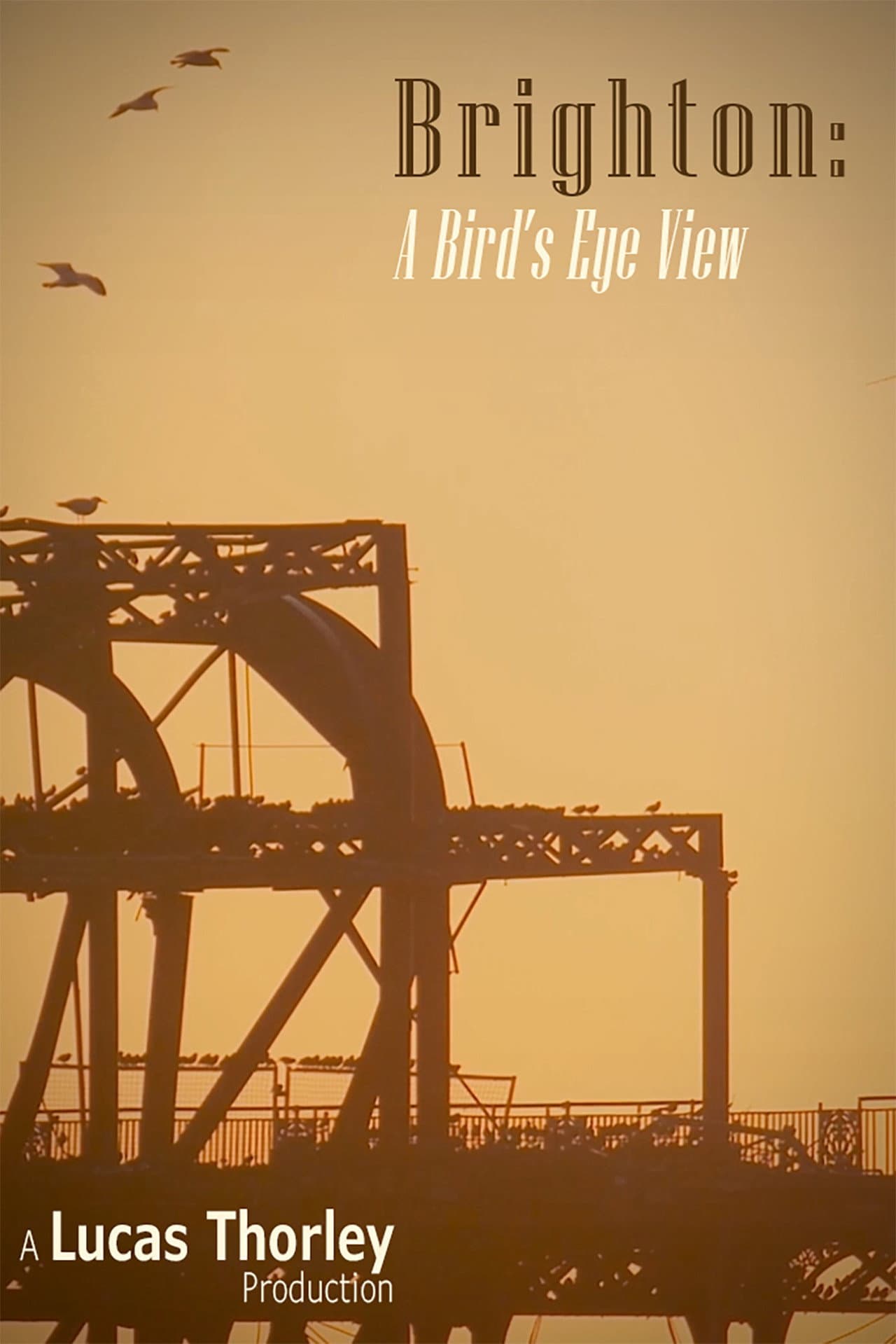 Brighton: A Bird's Eye View preview 2