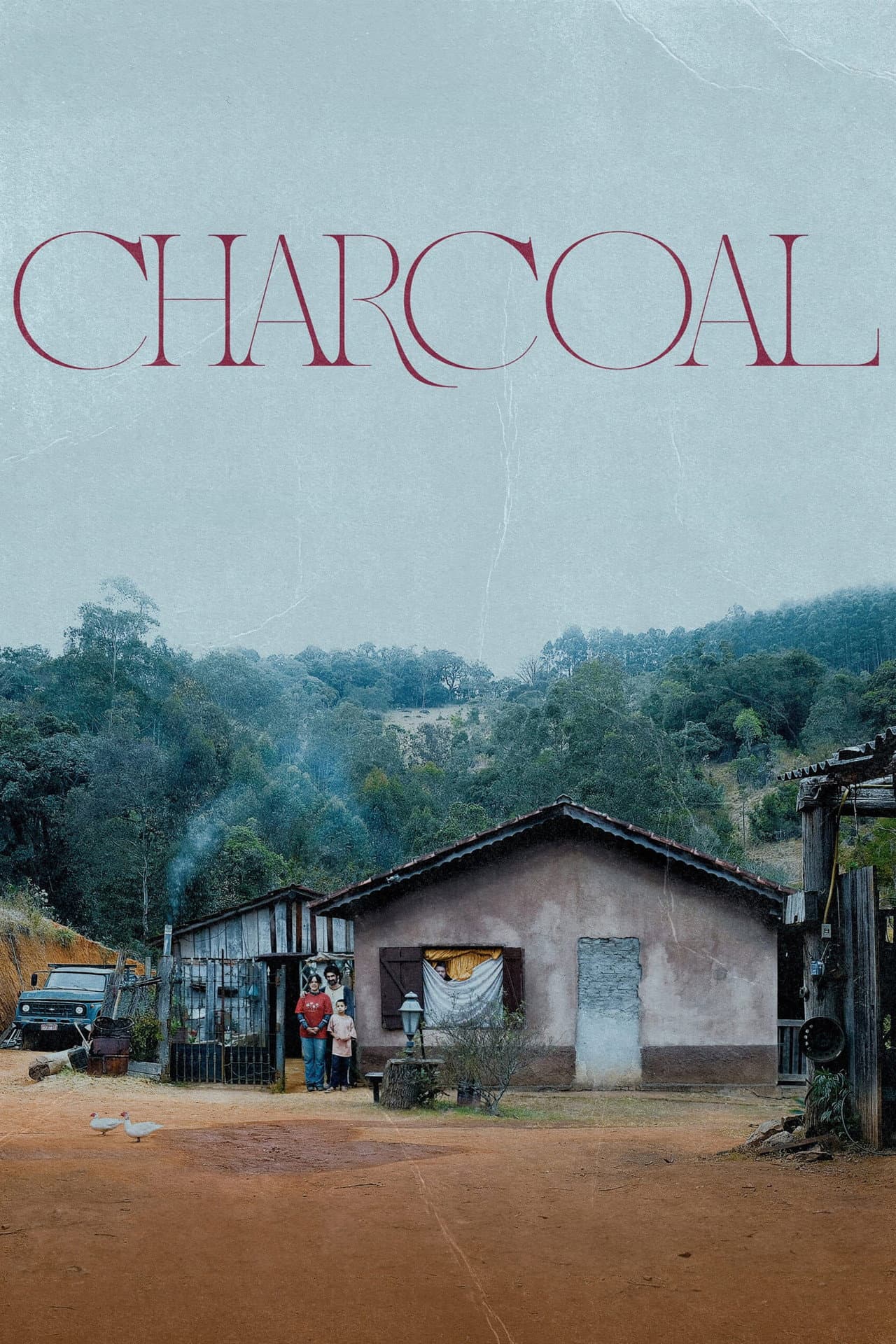 Charcoal preview 2