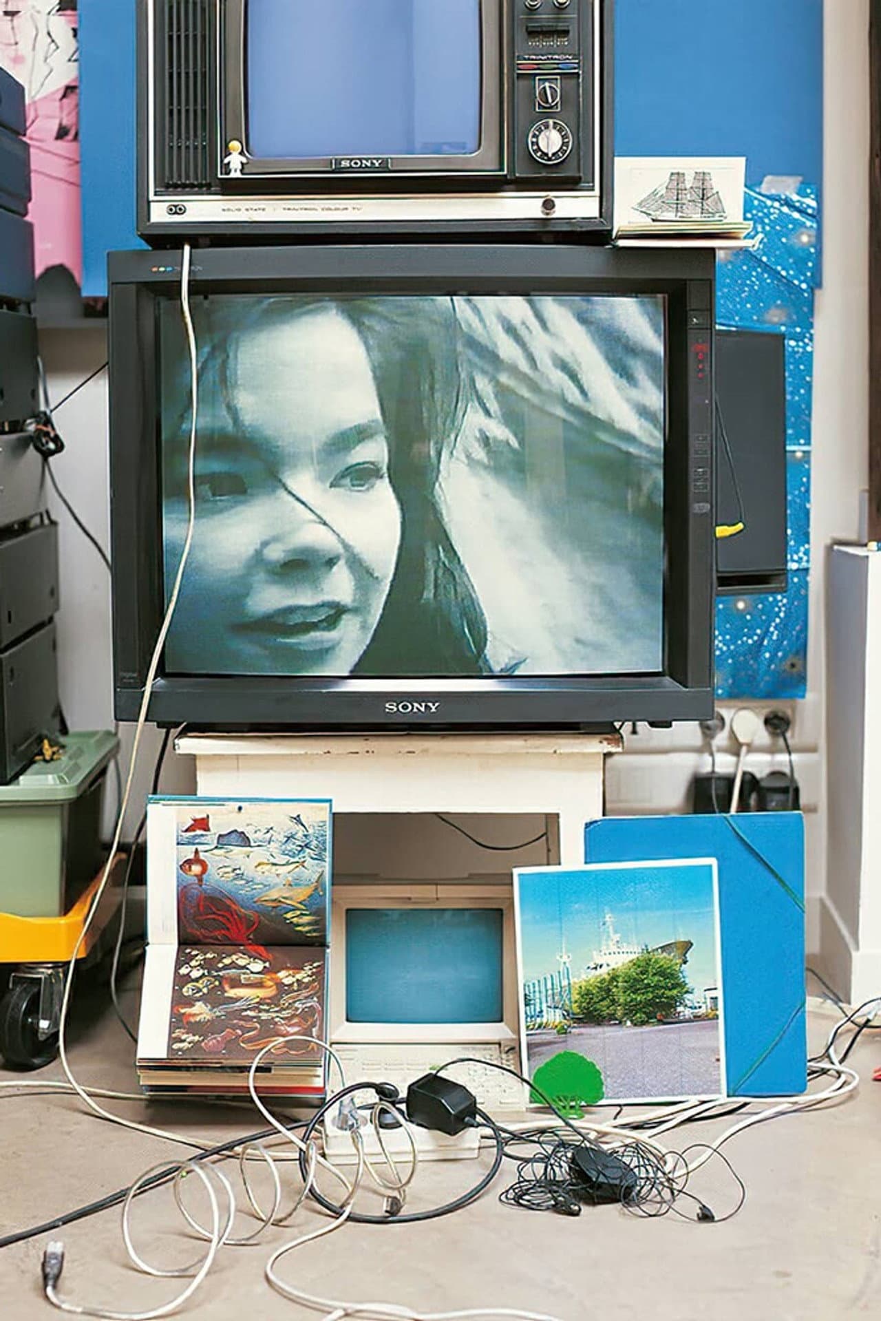 Björk: Vessel 1994 preview 2