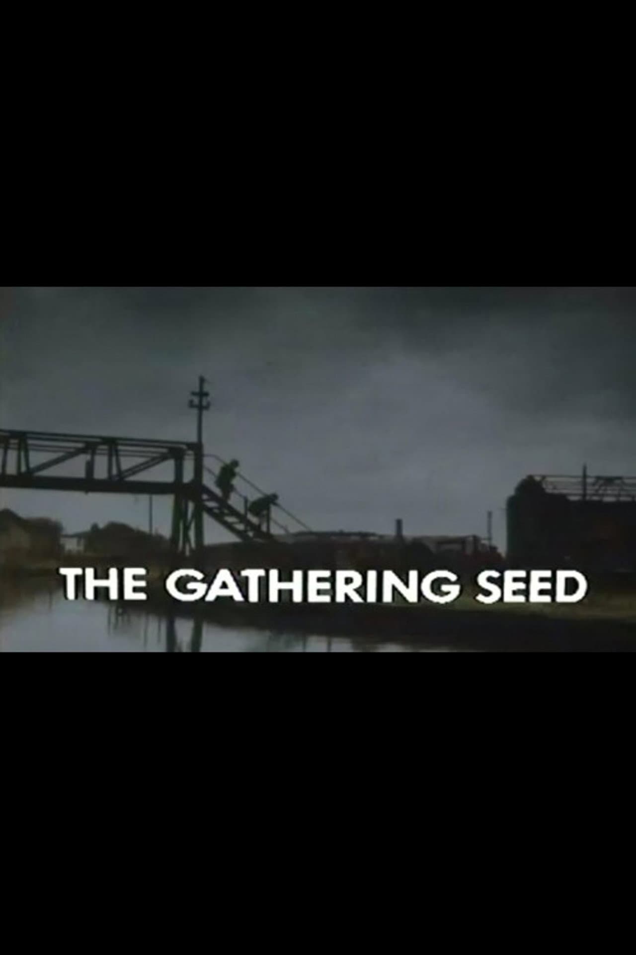 The Gathering Seed preview 1
