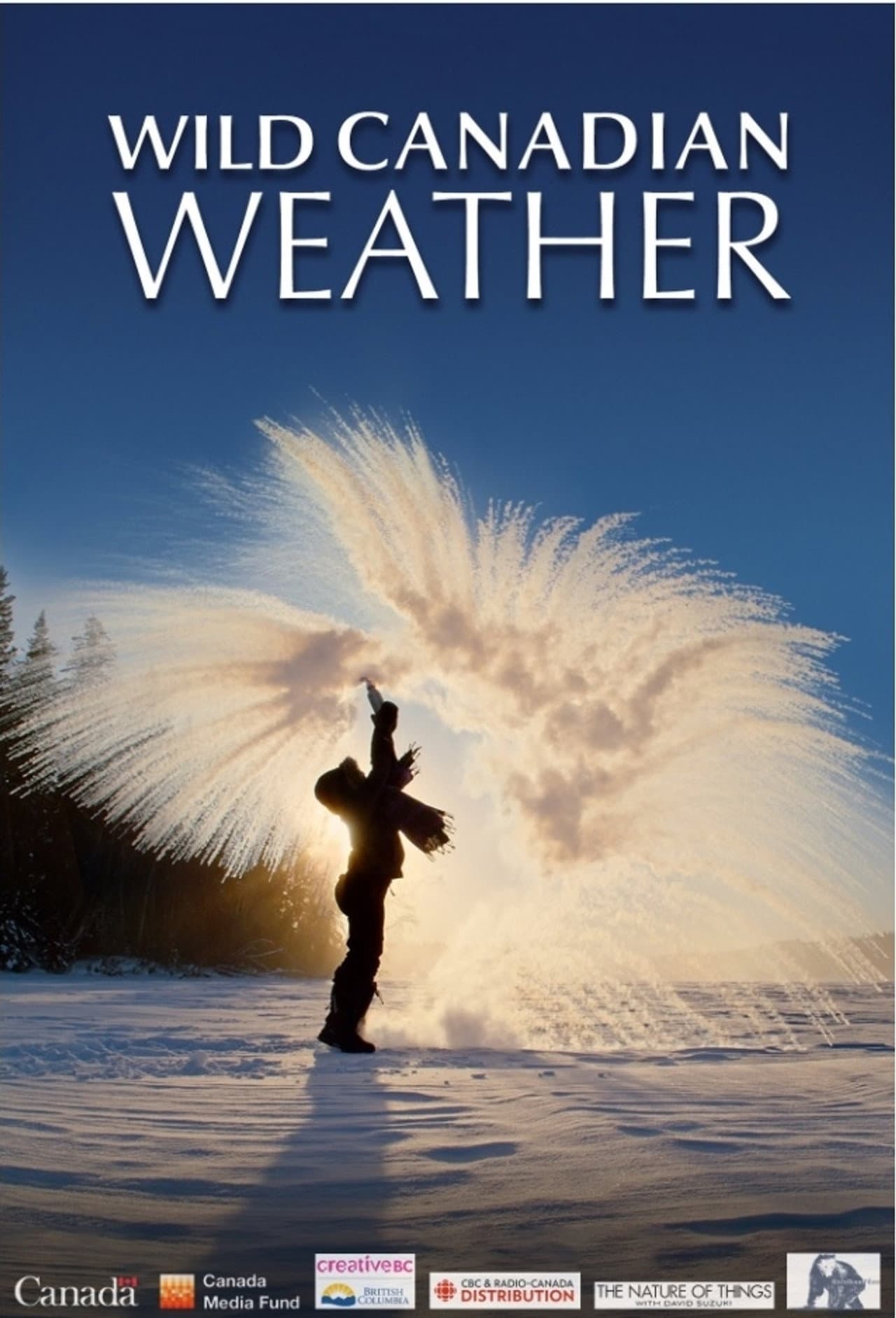 Wild Canadian Weather preview 1