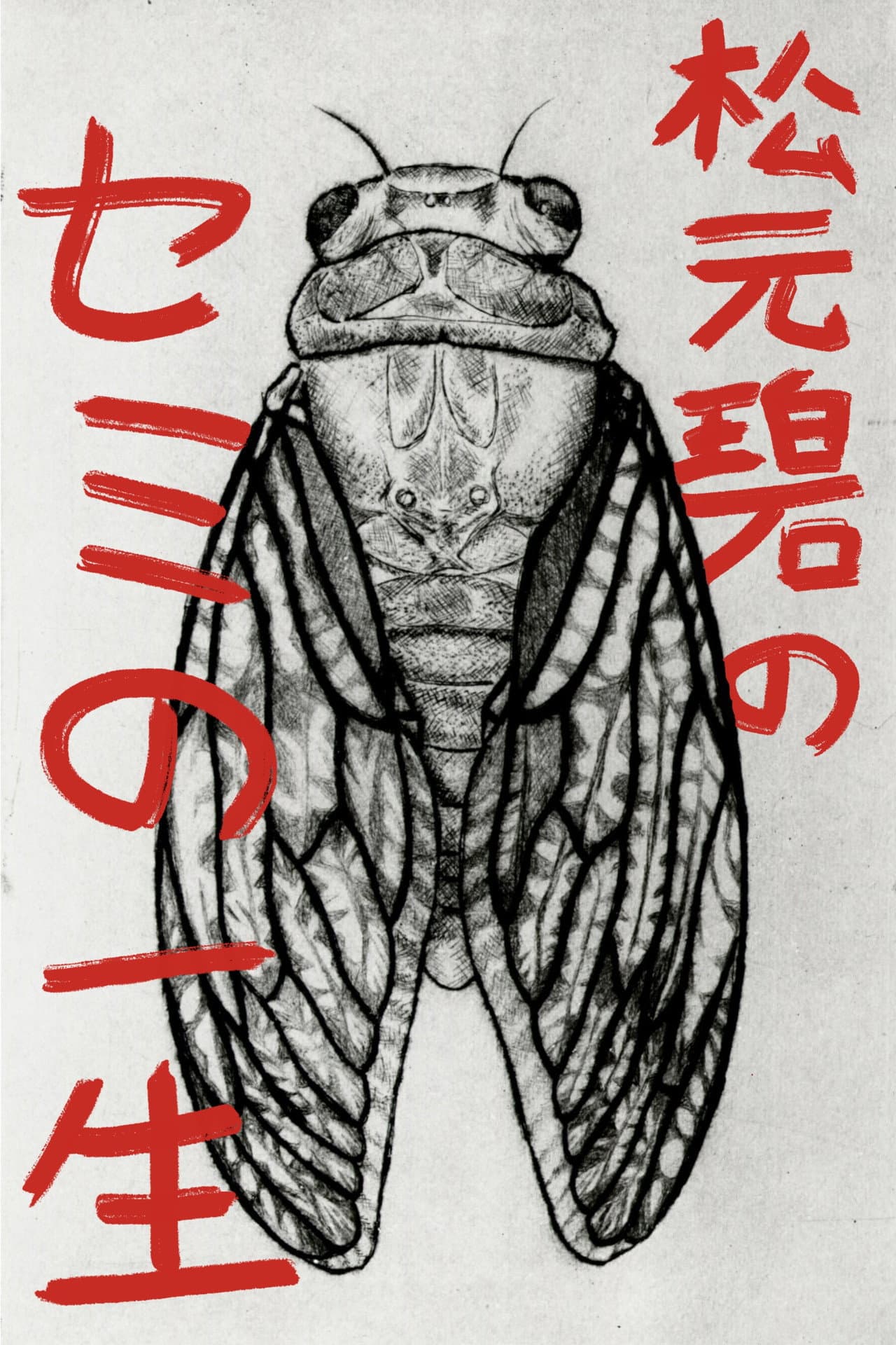Midori Matsumoto’s: The Life Cycle Of A Cicada preview 2