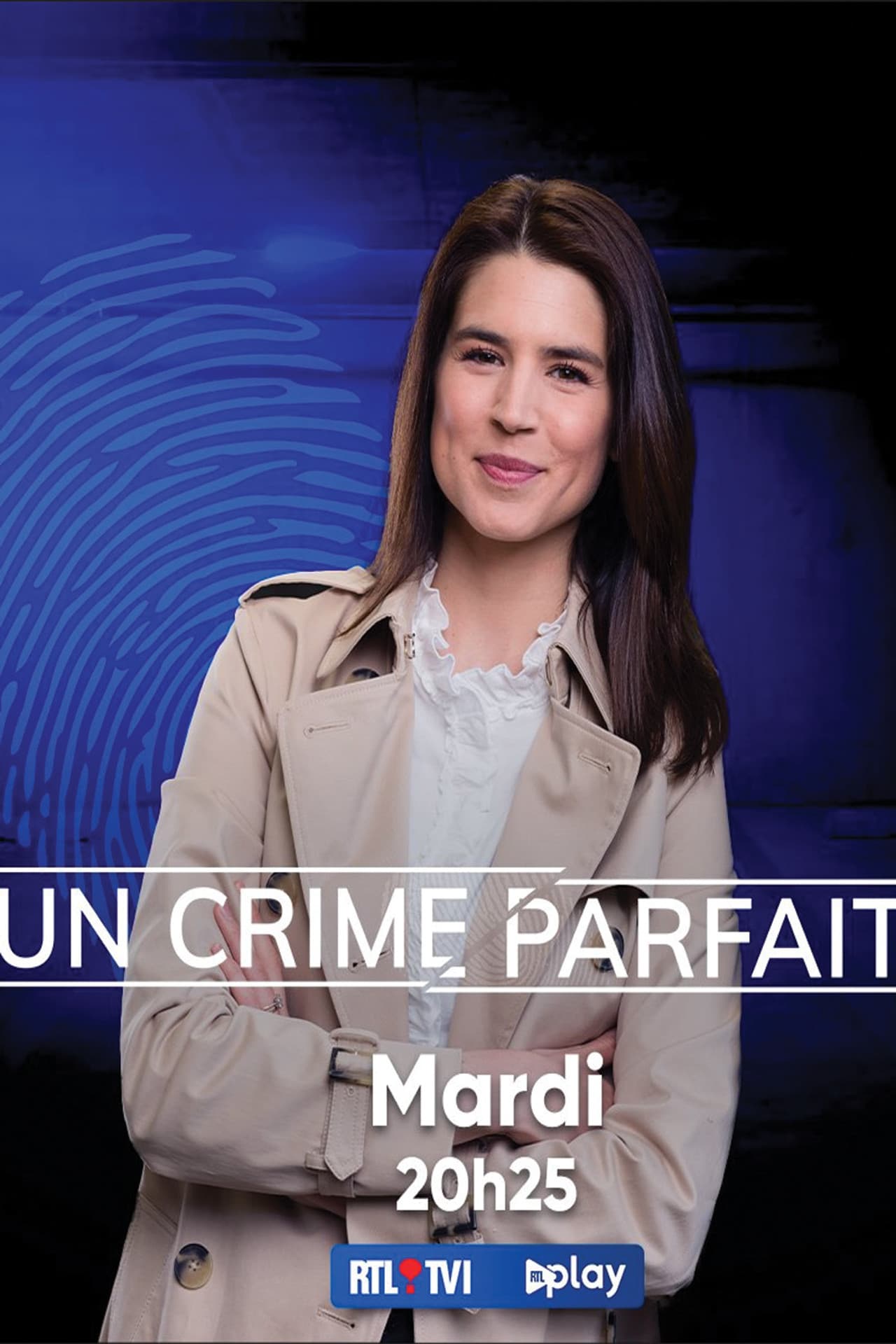 Un crime parfait ? preview 2
