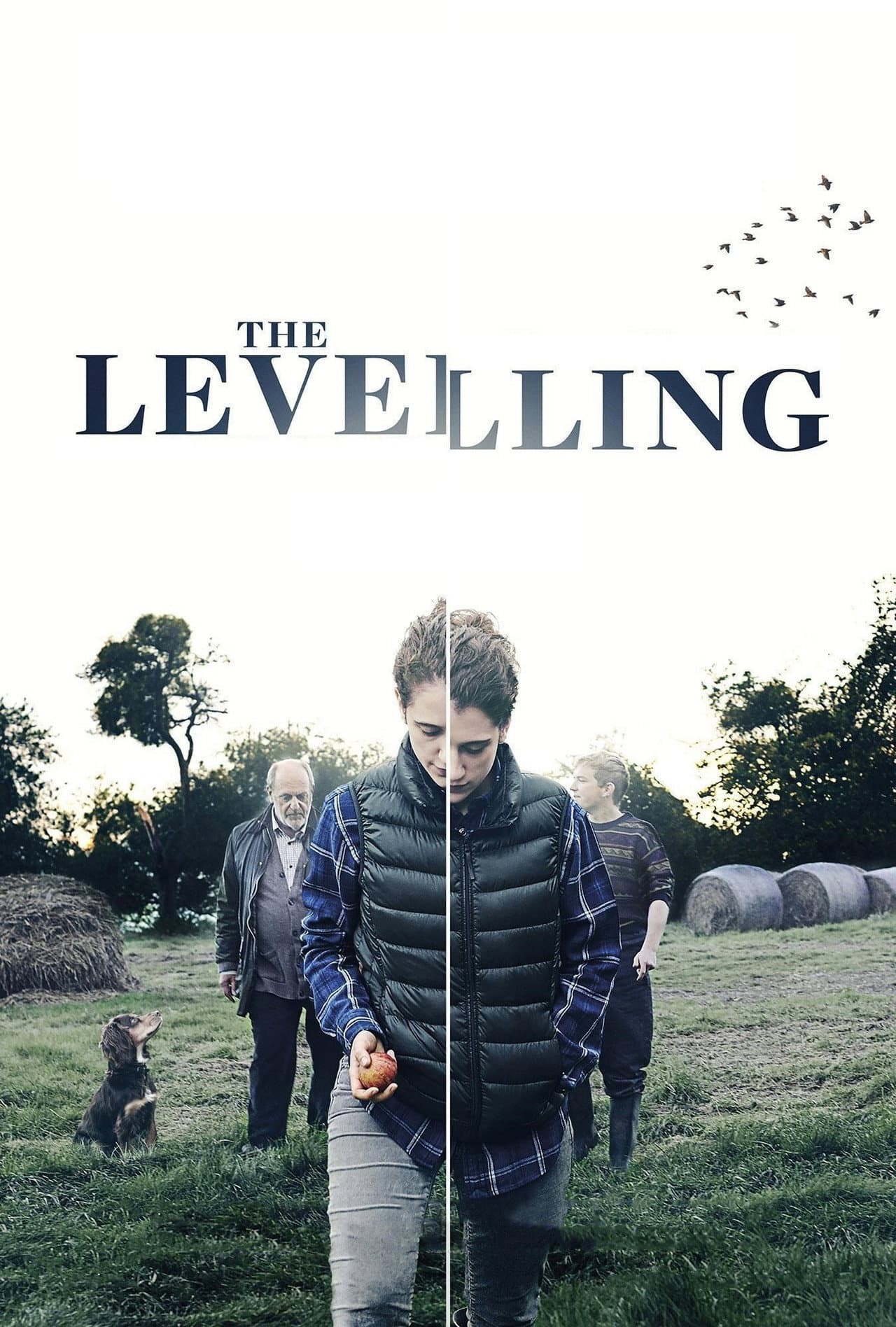 The Levelling preview 2