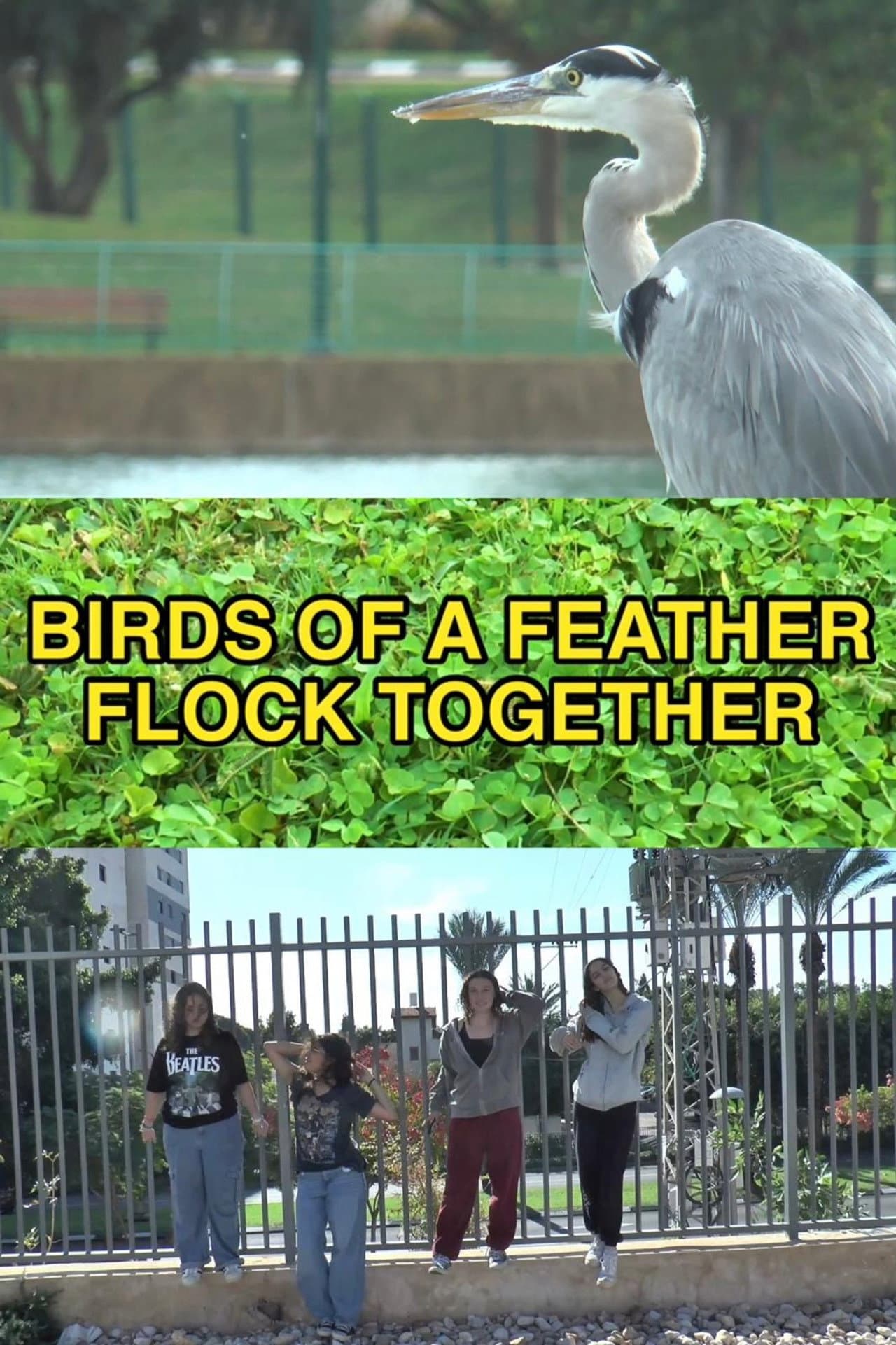 Birds of a Feather Flock Together preview 2