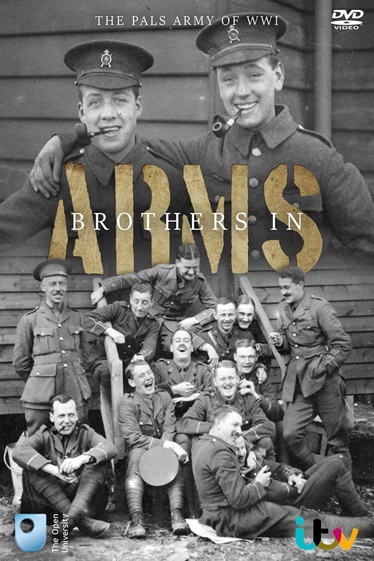 Brothers in Arms: The Pals Army of World War One preview 1