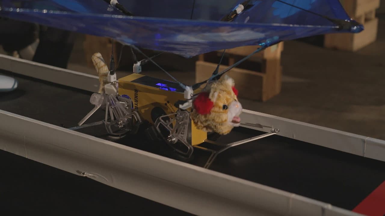 Episode 7