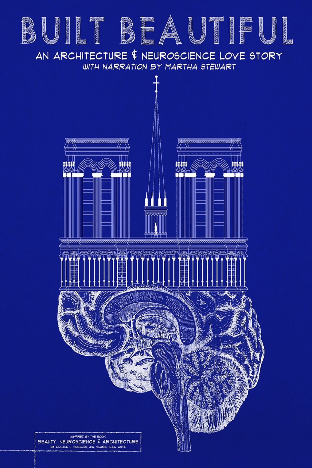 Built Beautiful: An Architecture and Neuroscience Love Story preview 2