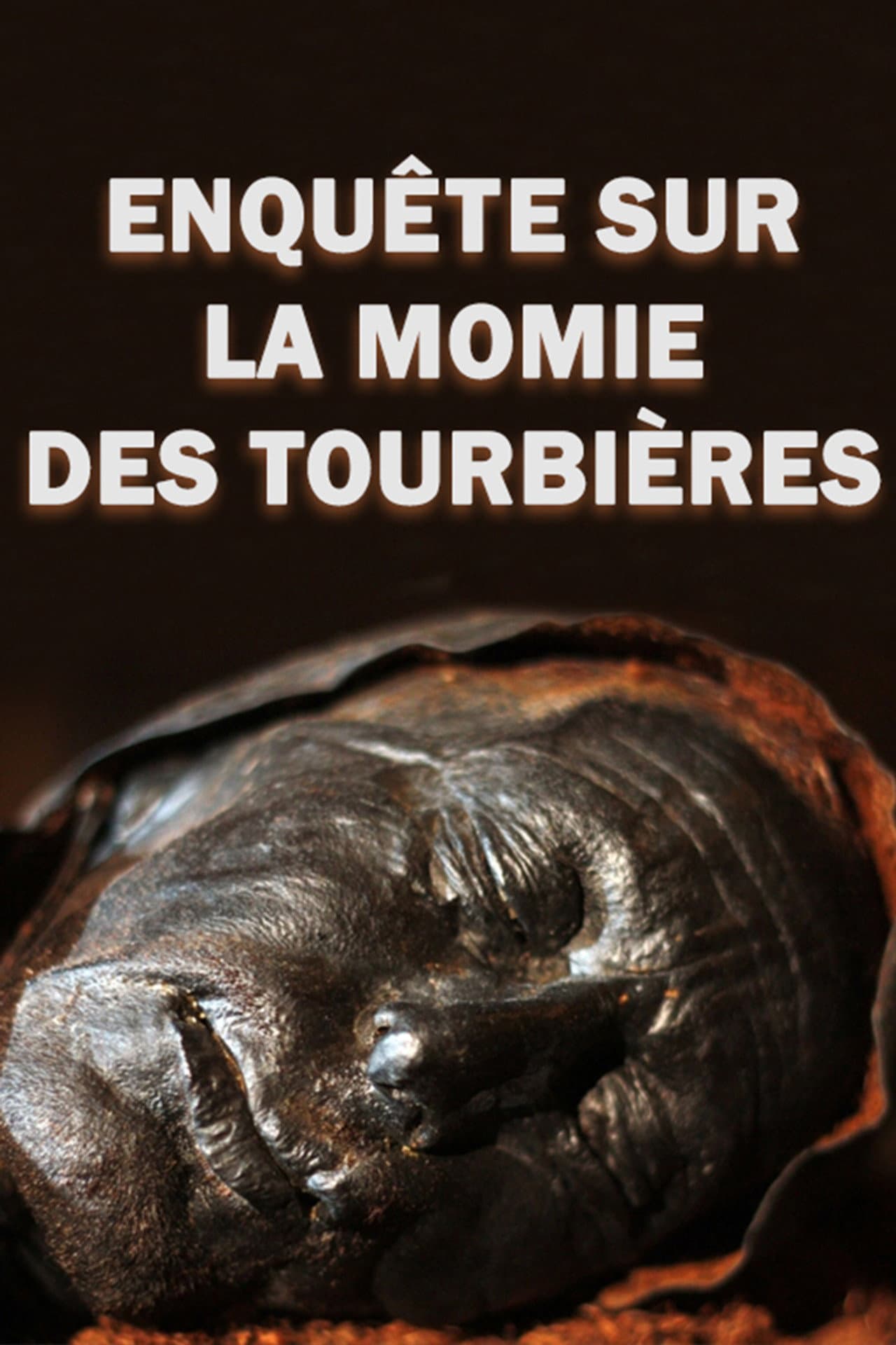4,000-Year-Old Cold Case: The Body in the Bog preview 1