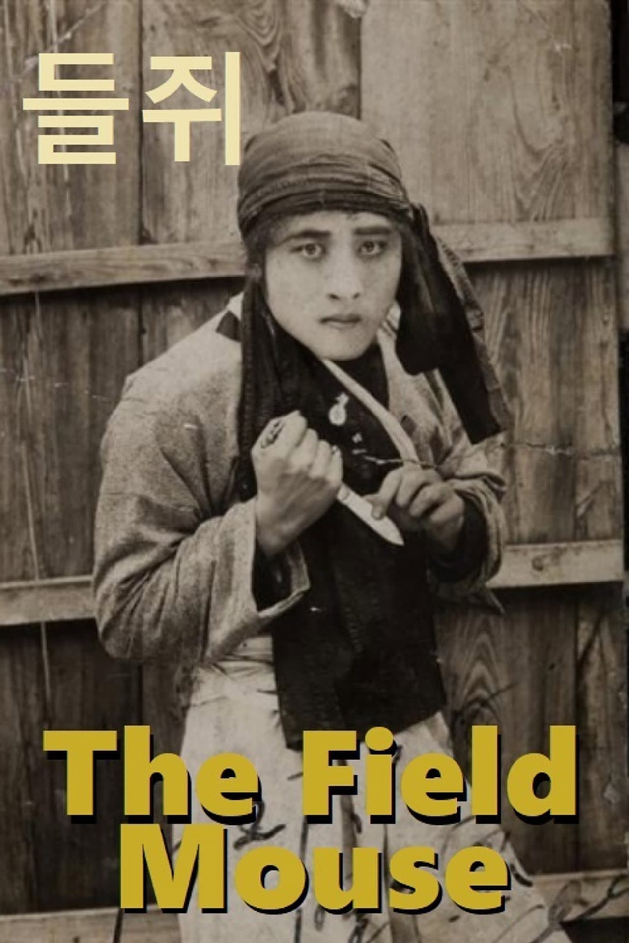 Field Mouse preview 1