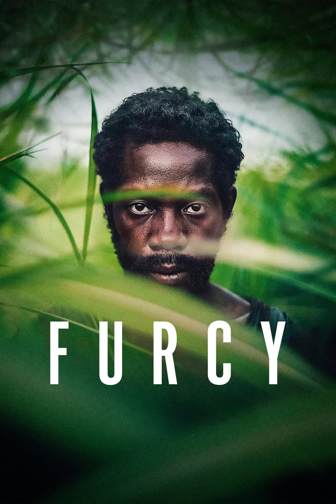 Furcy preview 2