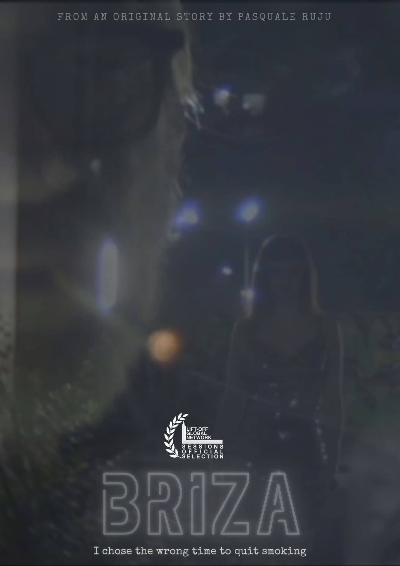 Briza preview 2