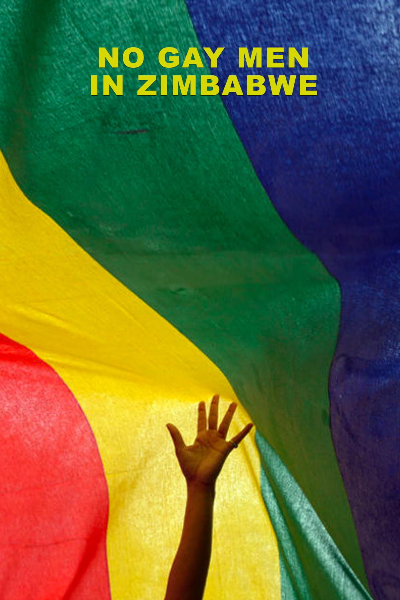 No Gay Men in Zimbabwe preview 1
