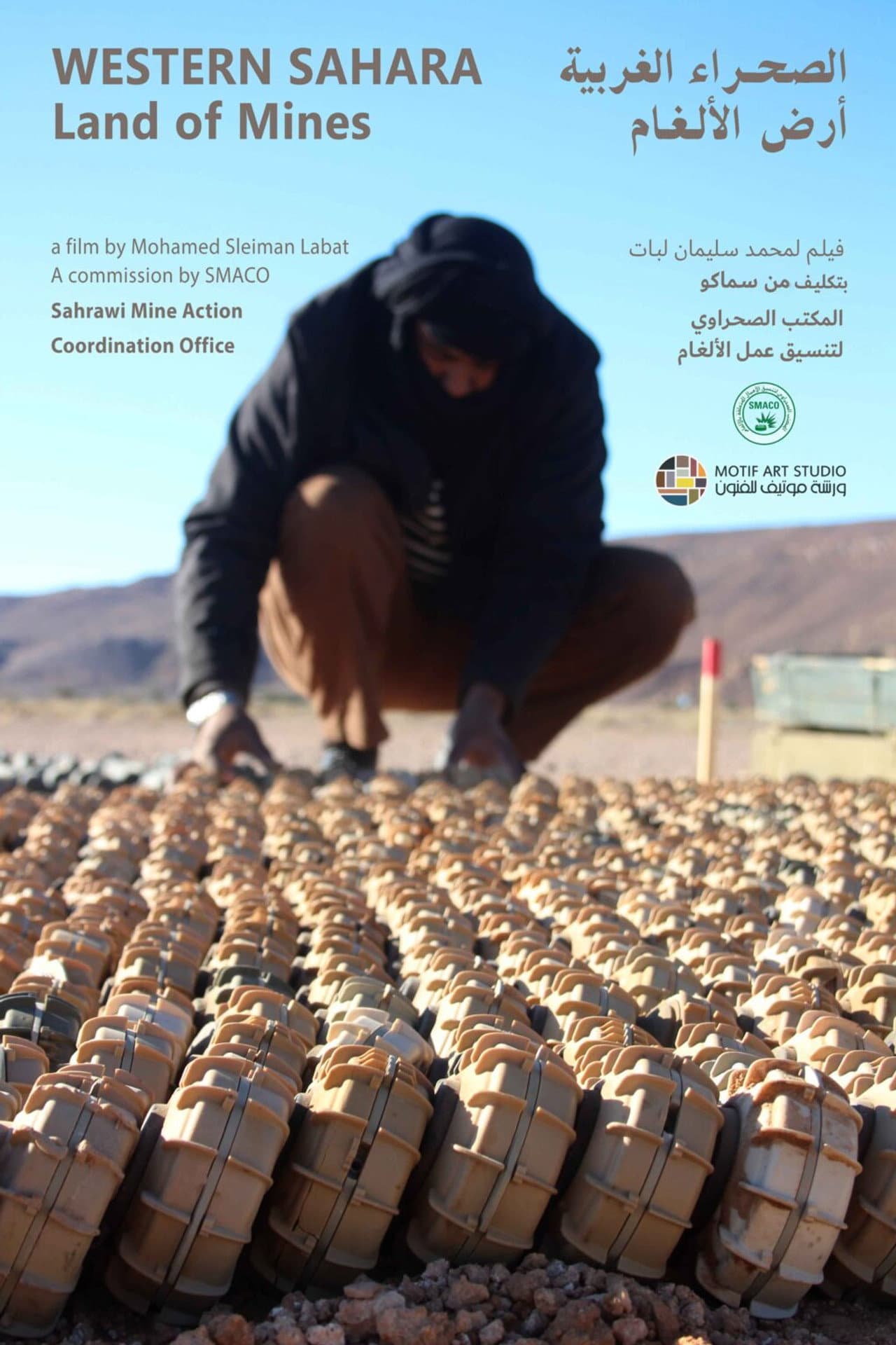 Land of mines preview 1
