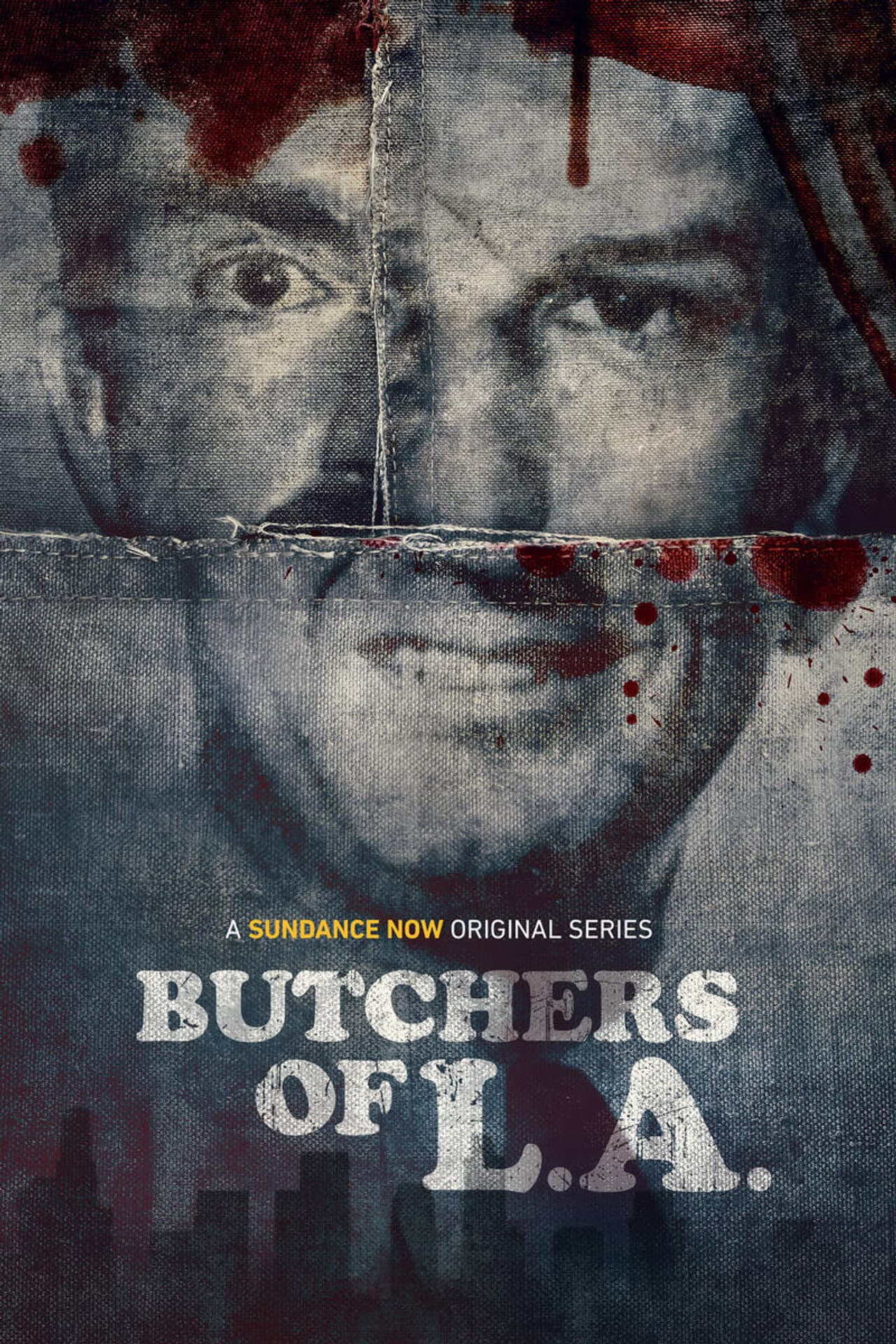 Miniseries