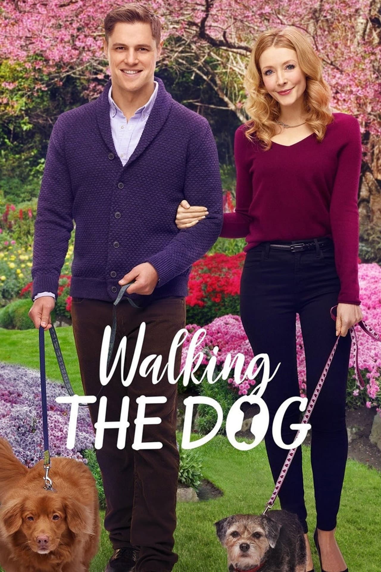 Walking the Dog preview 2