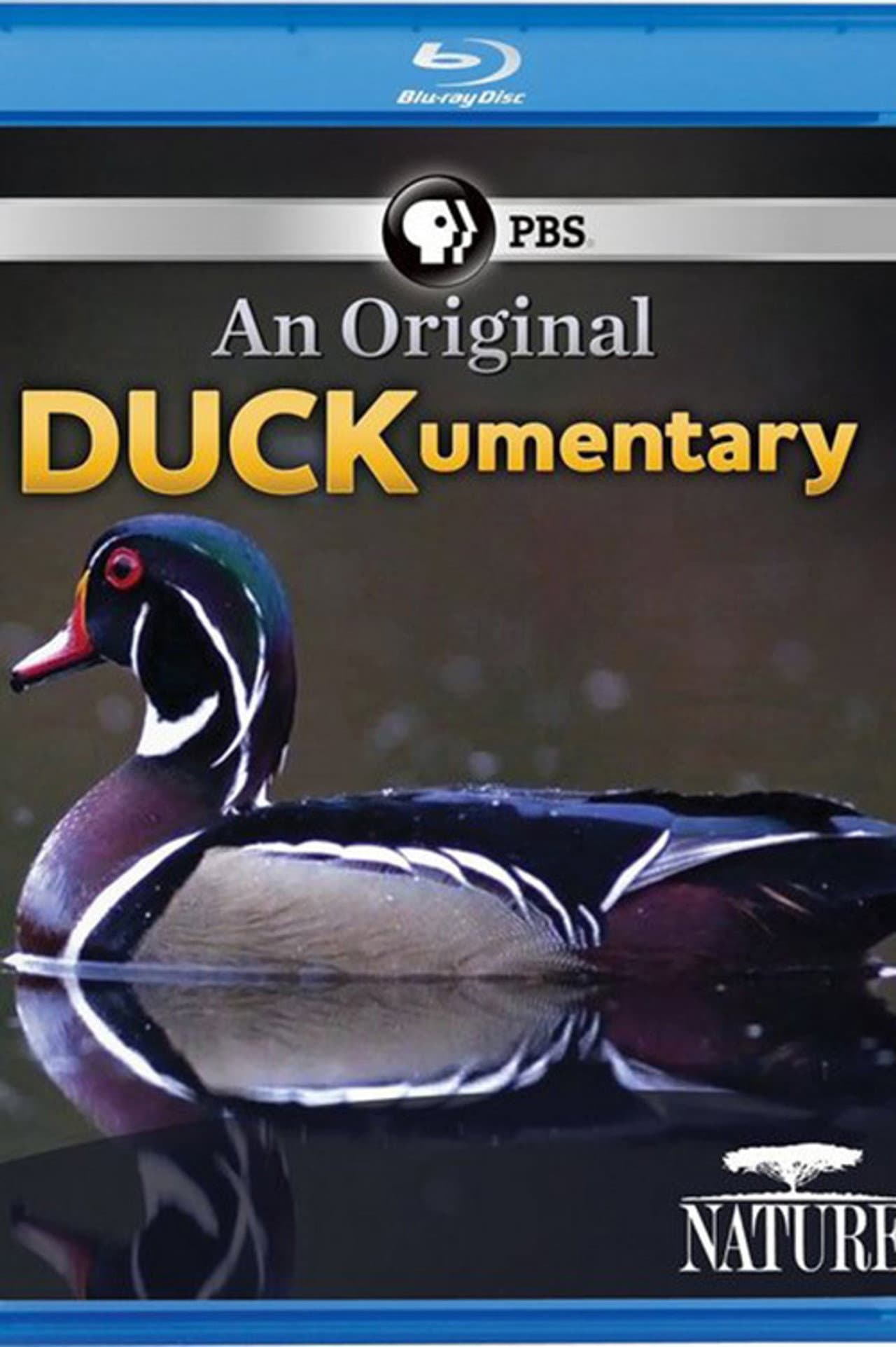 PBS Nature - An Original DUCKumentary preview 2