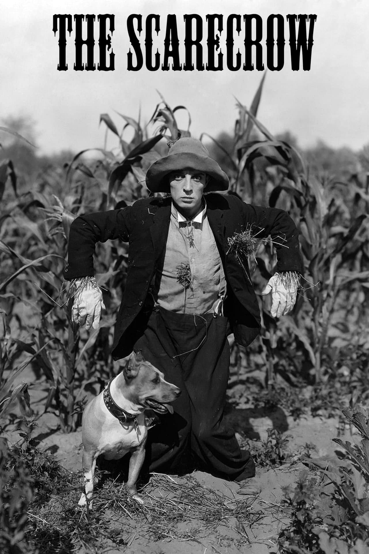 The Scarecrow preview 2