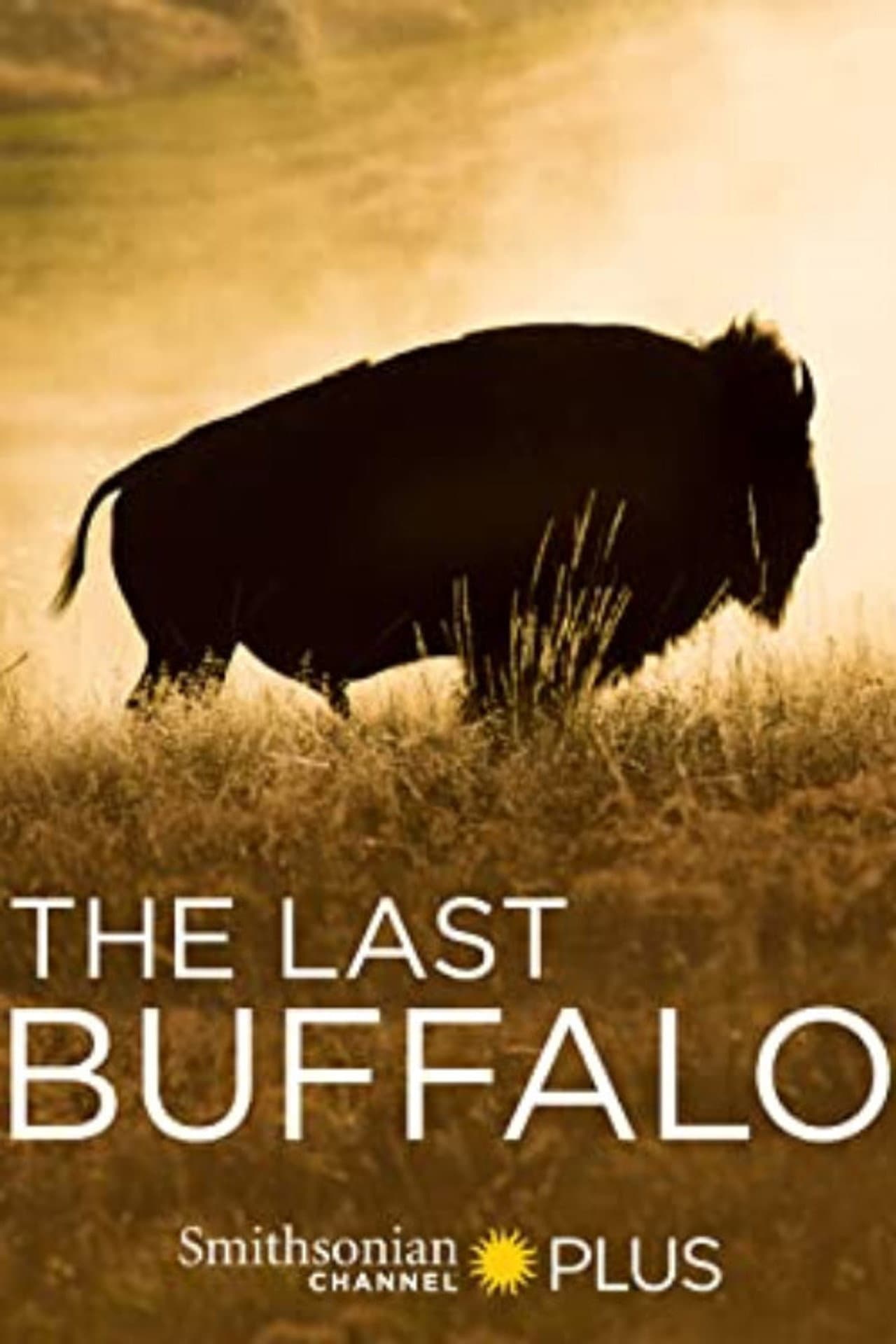 The Last Buffalo preview 1
