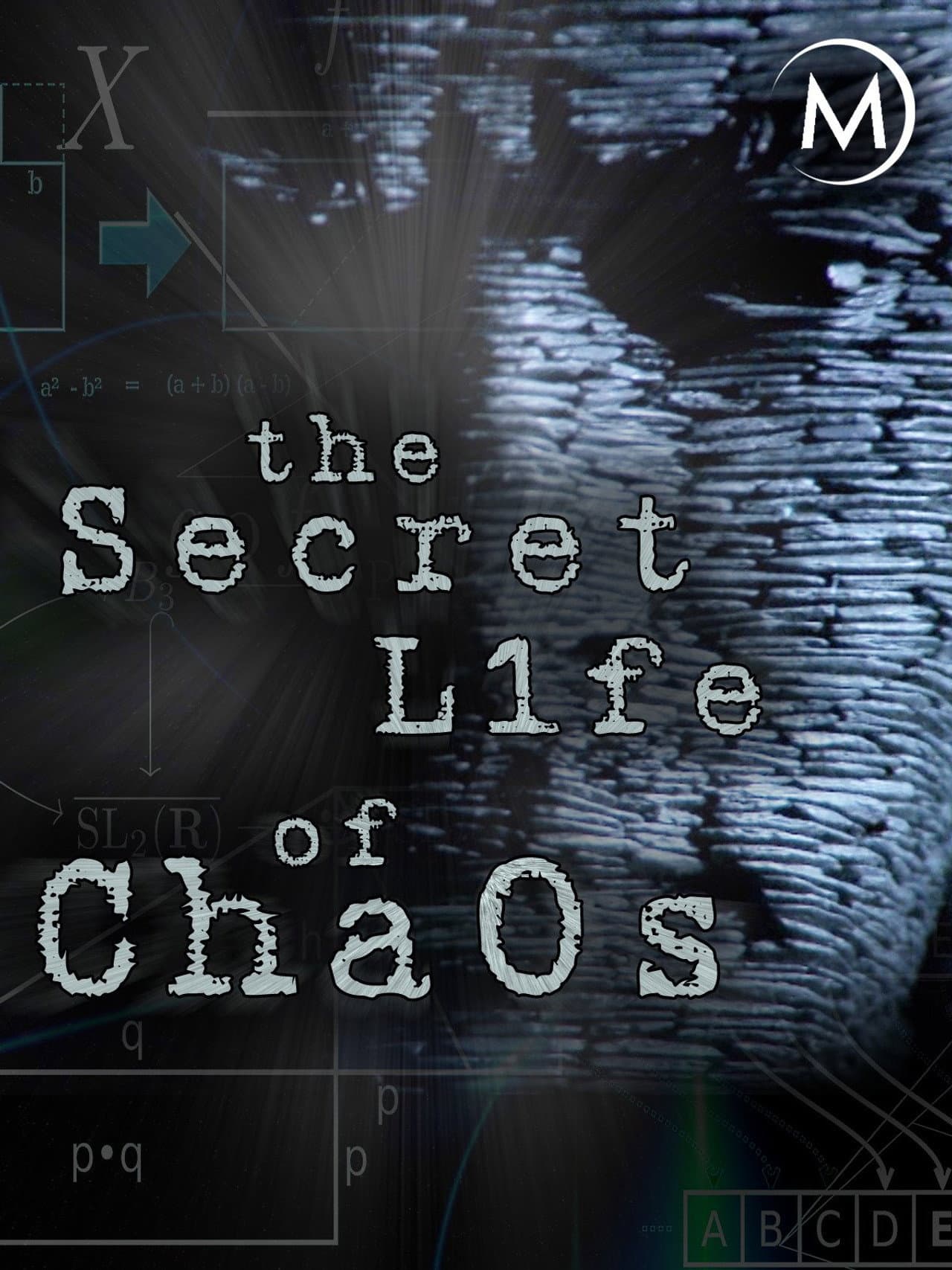 The Secret Life of Chaos preview 2