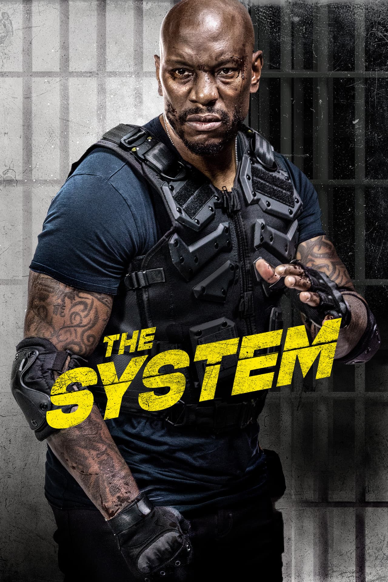 The System preview 2
