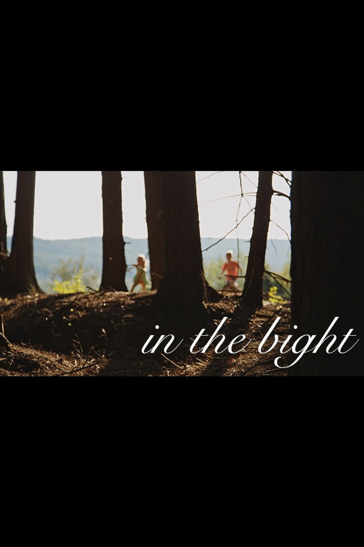 In the Bight preview 2