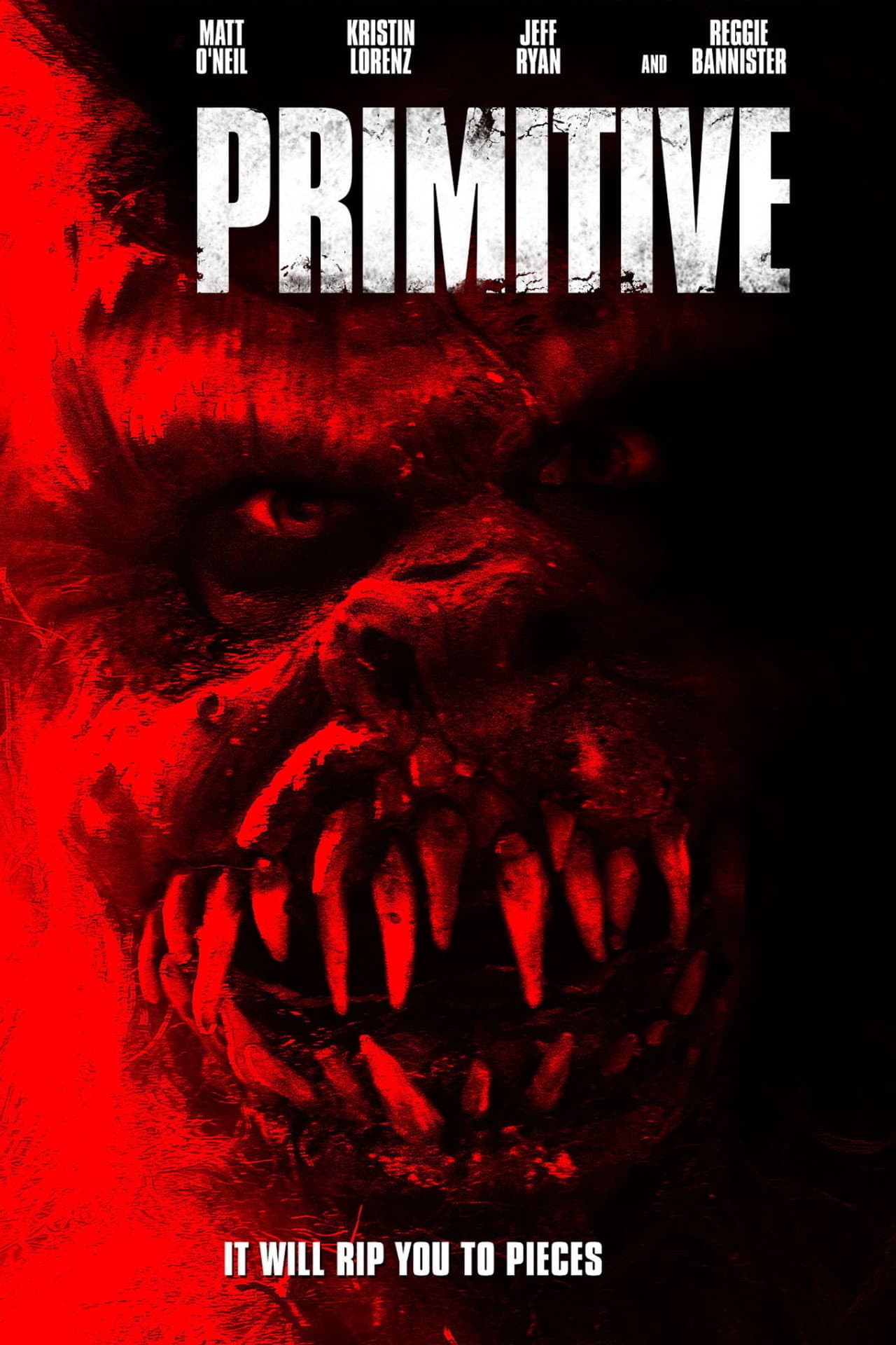Primitive preview 1