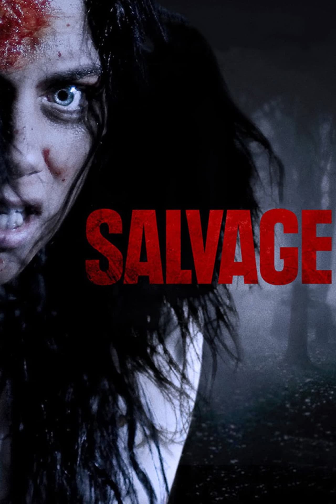 Salvage preview 2