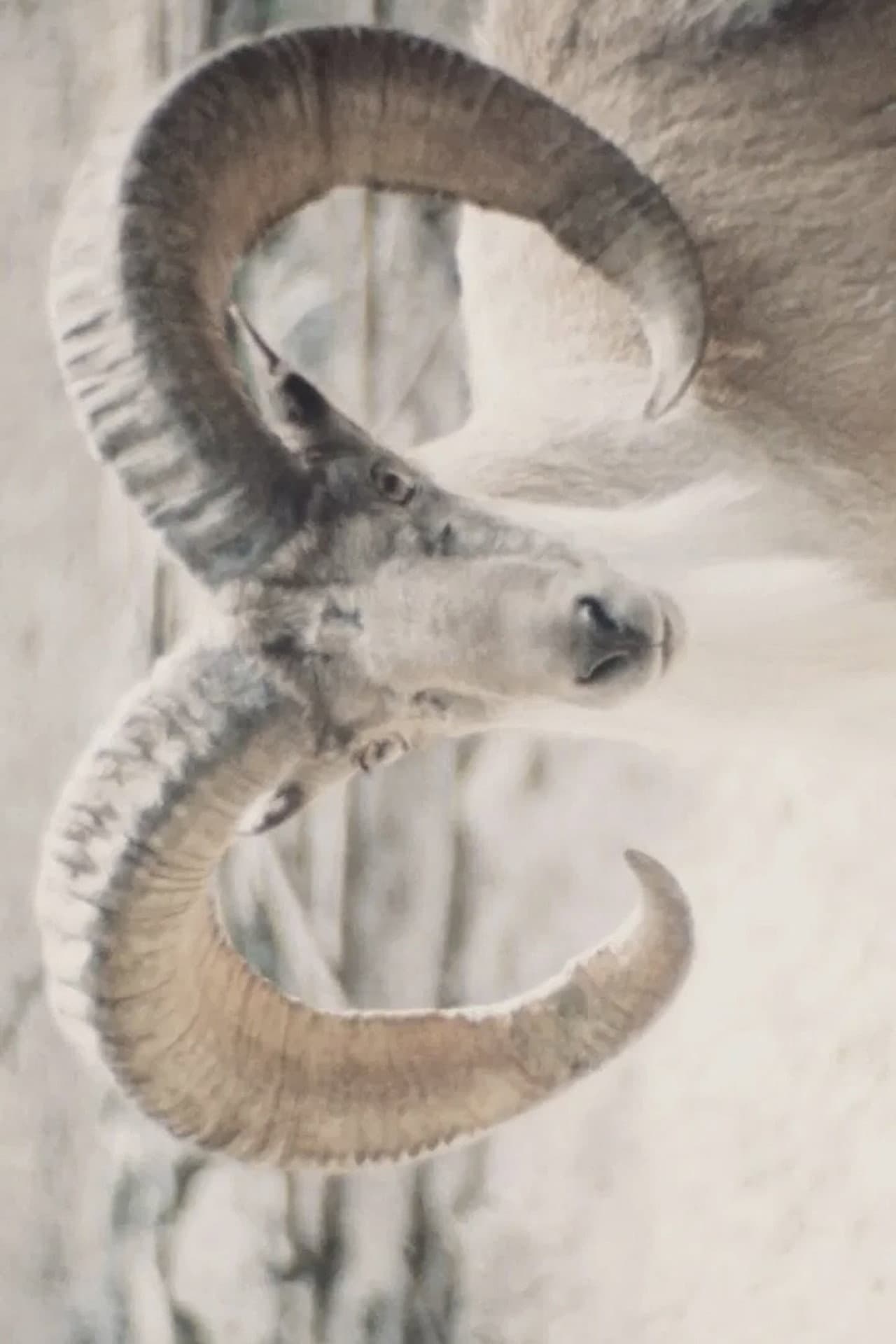 Paradies der Tiere preview 2