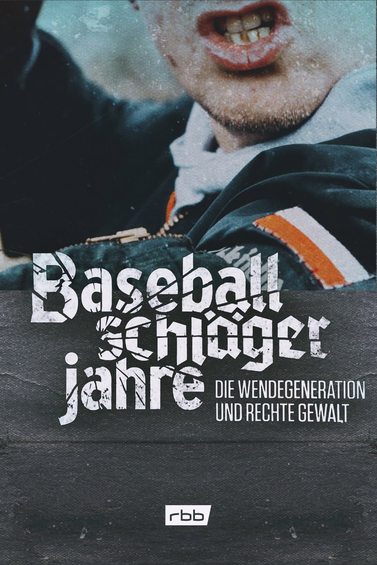 Baseballschlägerjahre - Die Wendegeneration und rechte Gewalt preview 2