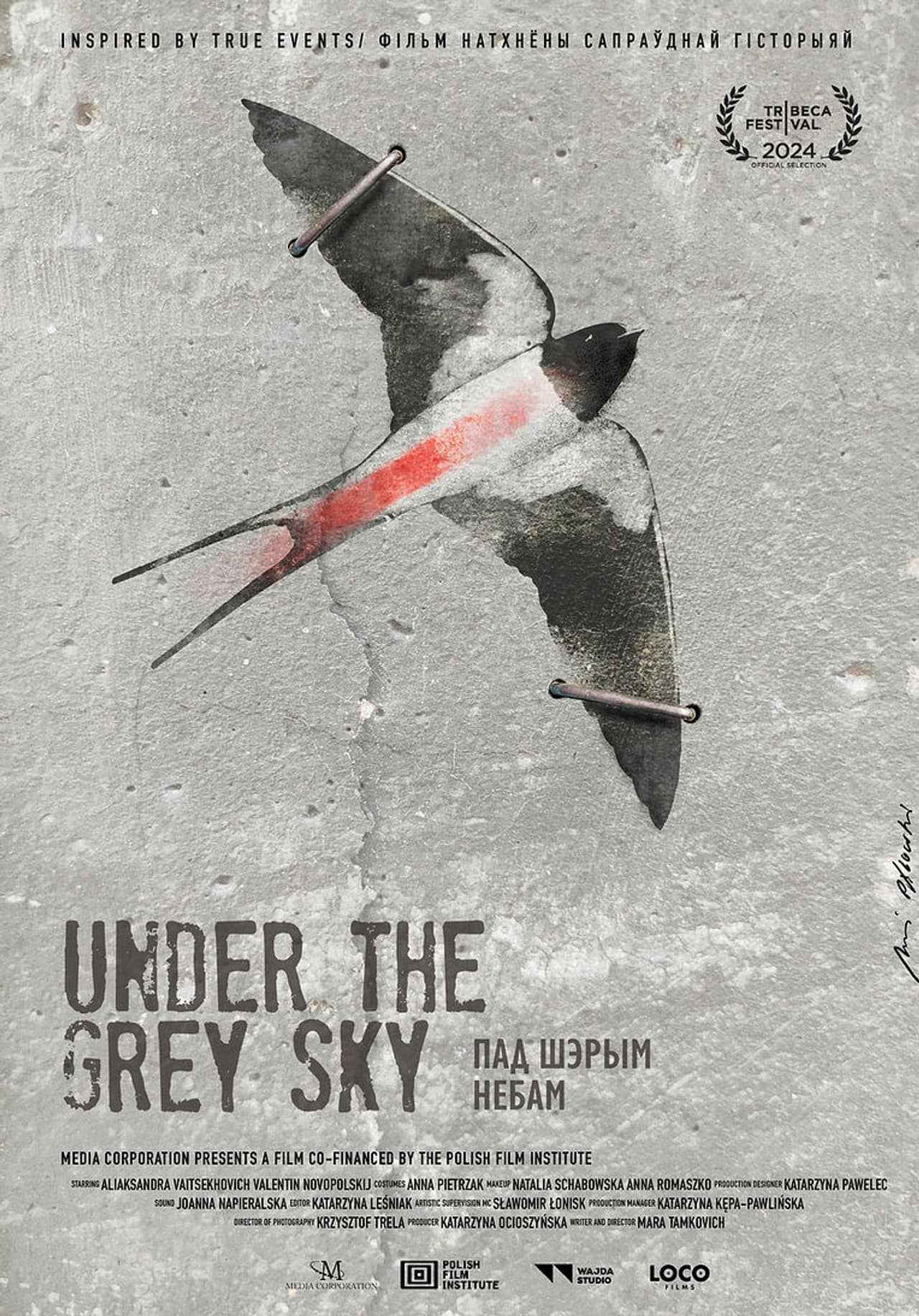Under the Grey Sky preview 2