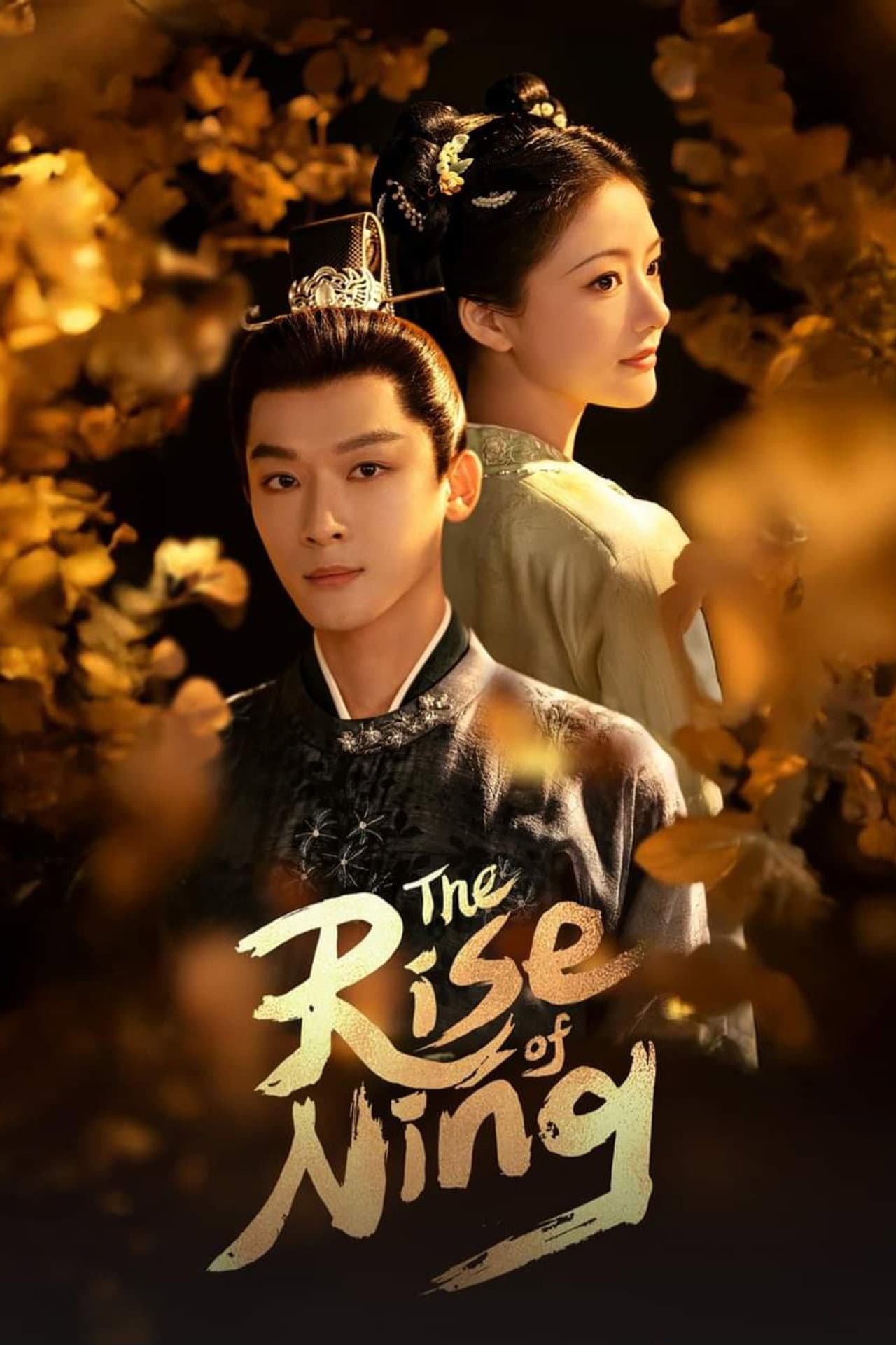 The Rise of Ning preview 2