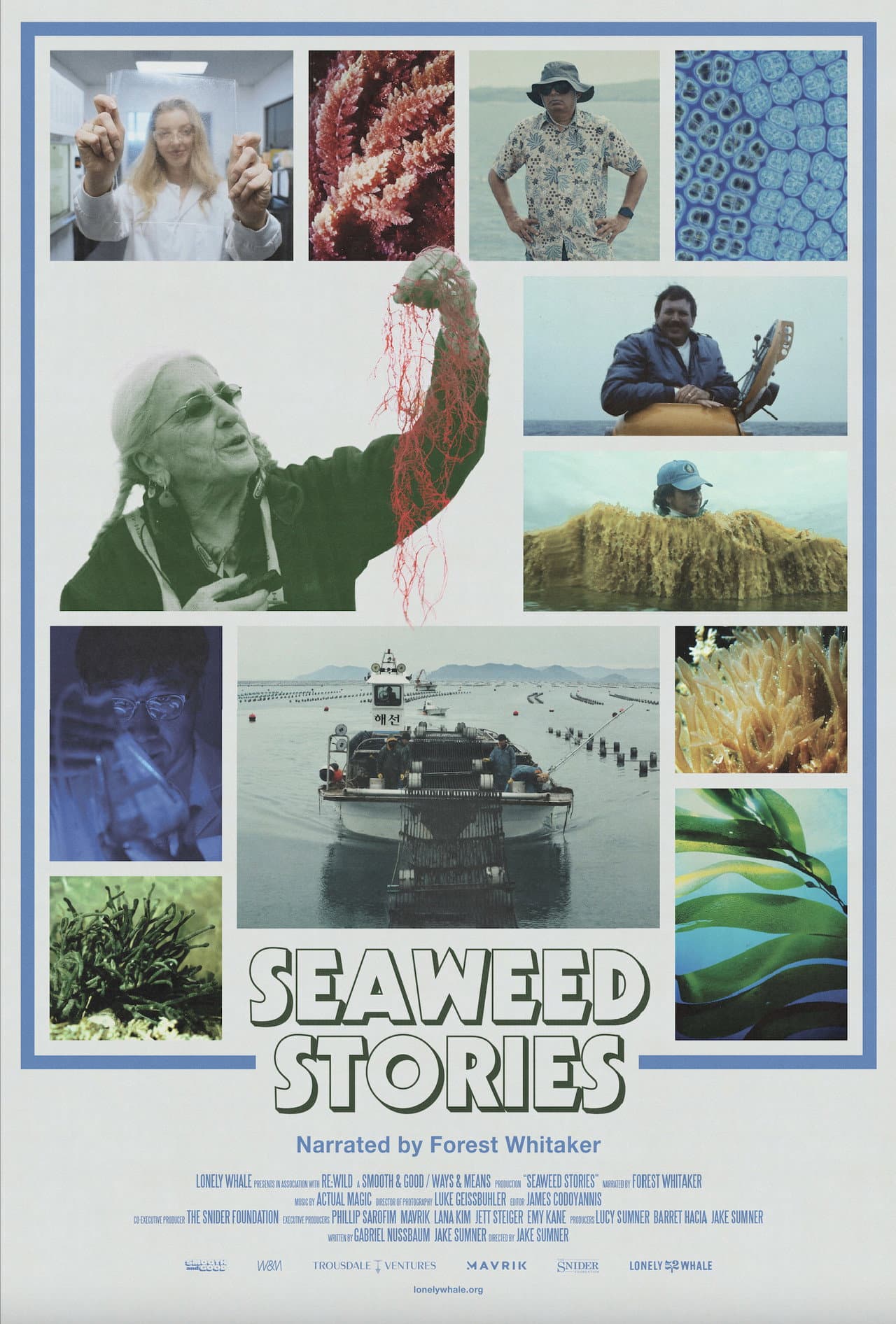 Seaweed Stories preview 2